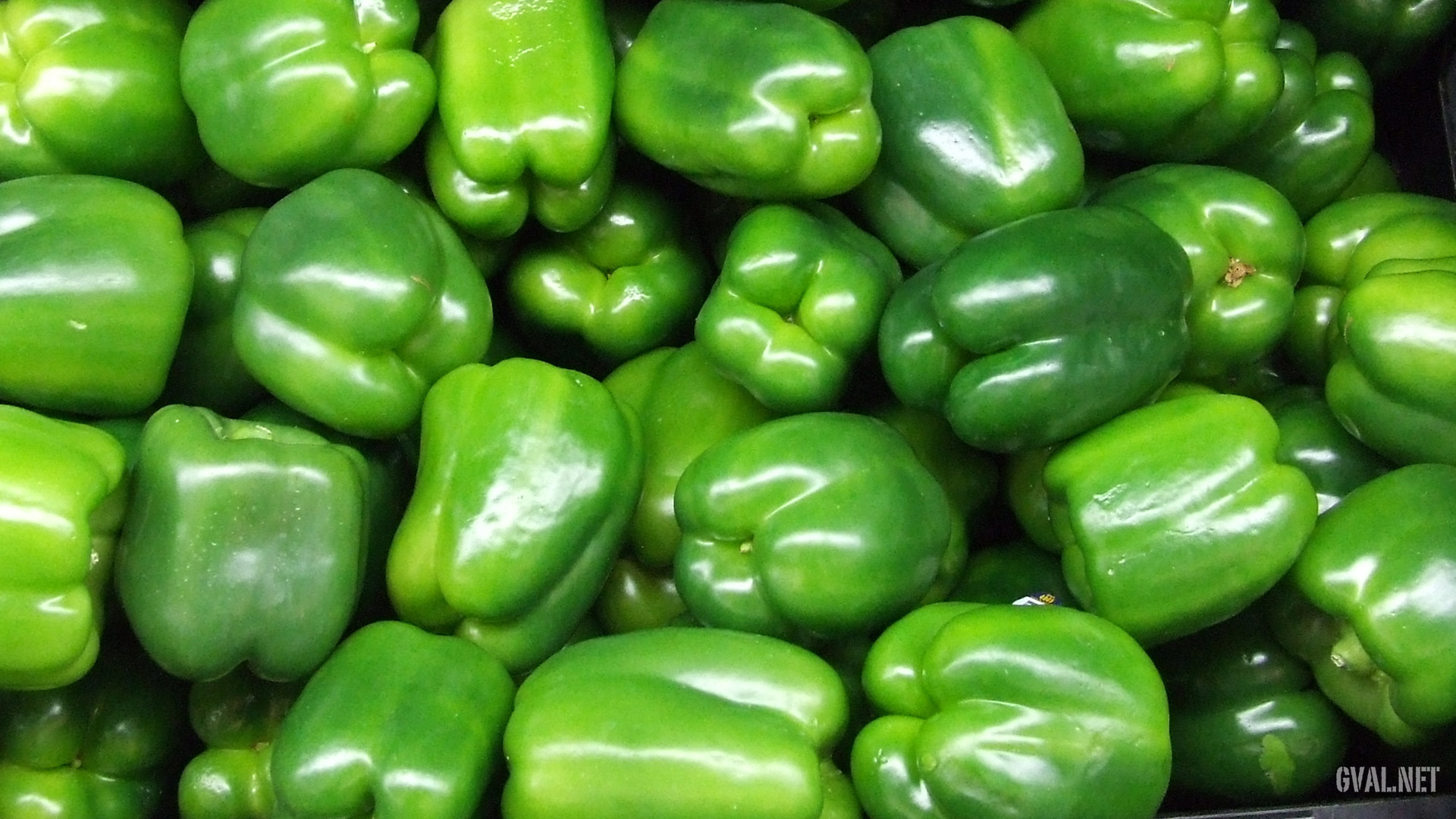 Green Pepper » Bellar Mart