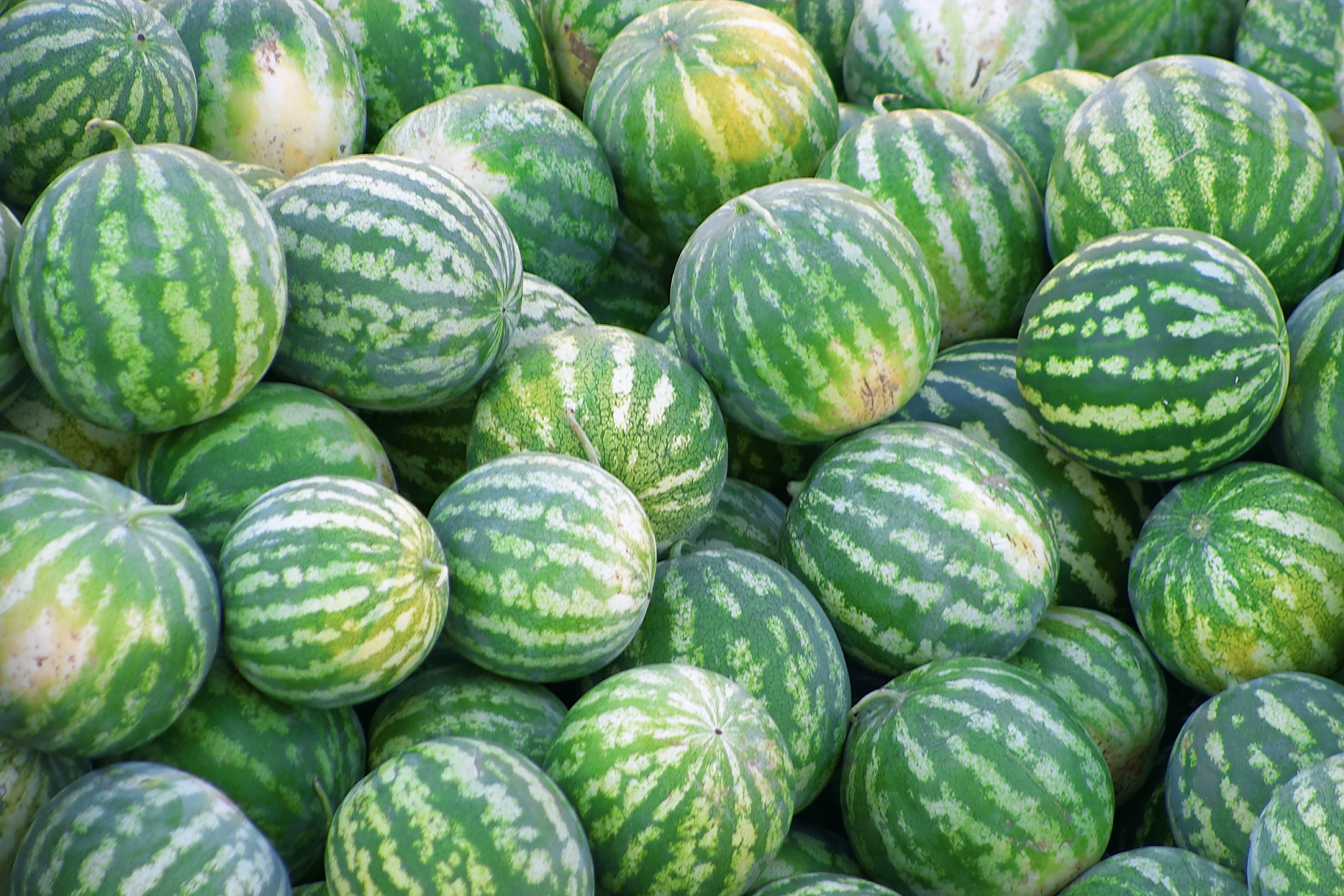 How Are Melons Good for You? | LIVESTRONG.COM