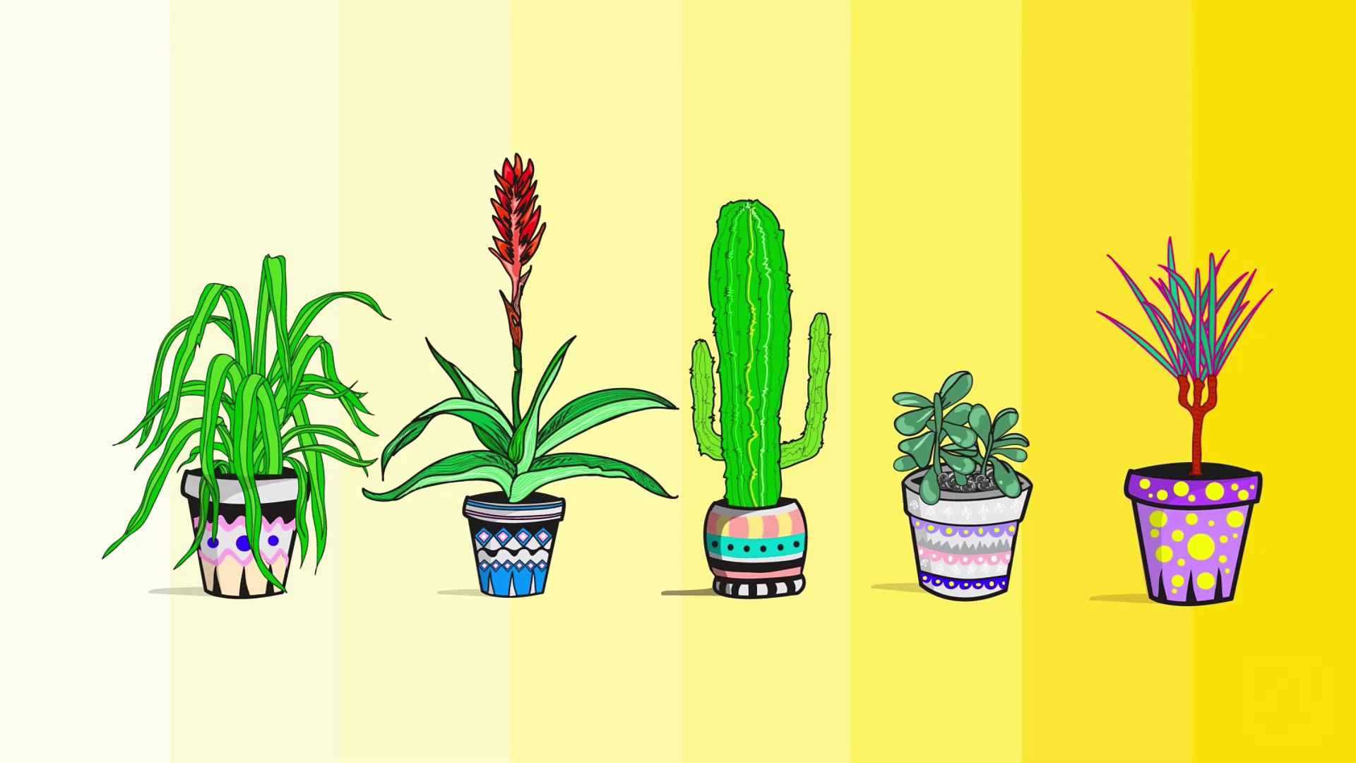Plants to Detoxify Your Home | Reader's Digest
