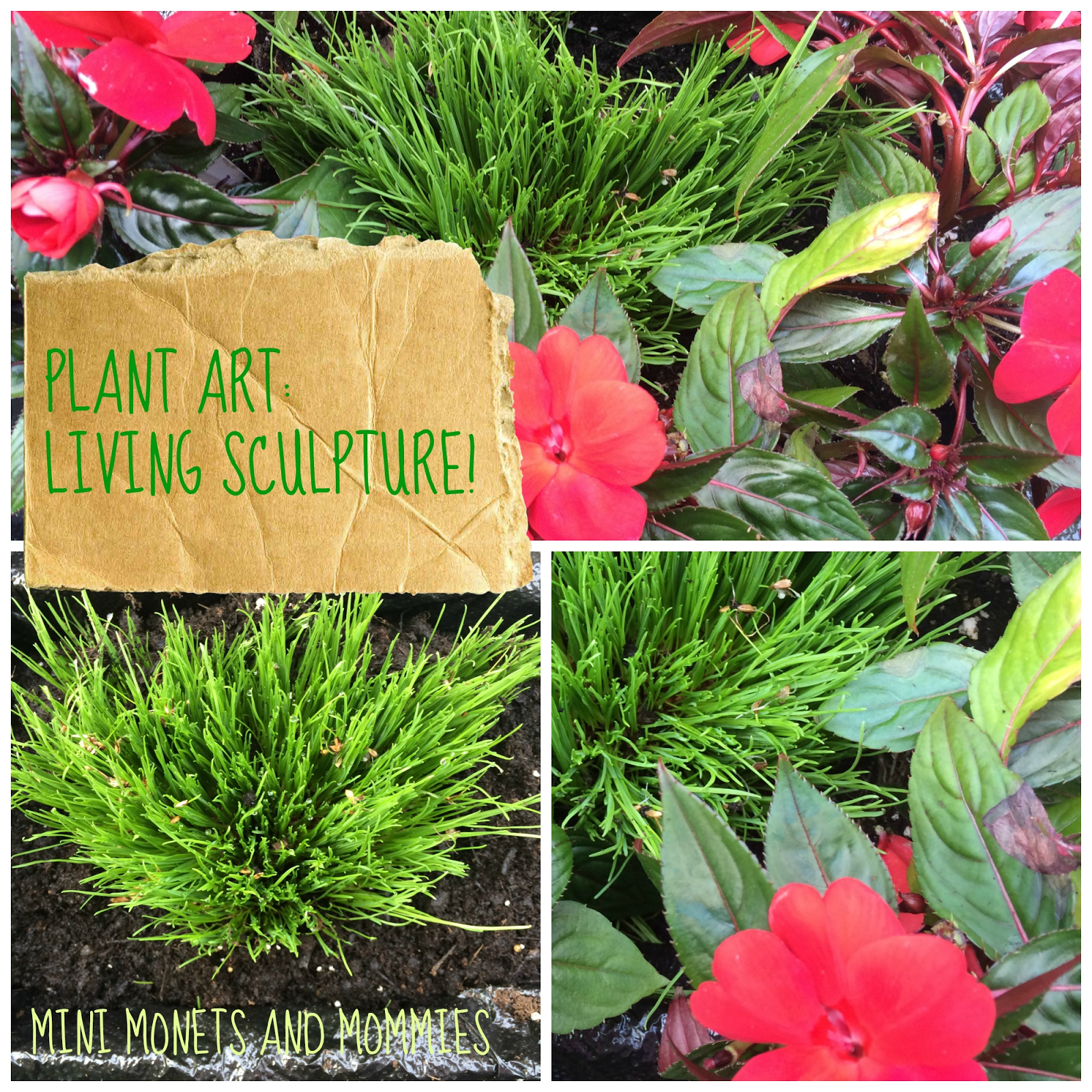 Mini Monets and Mommies: Living Art: Kids' Green Activity with Plants