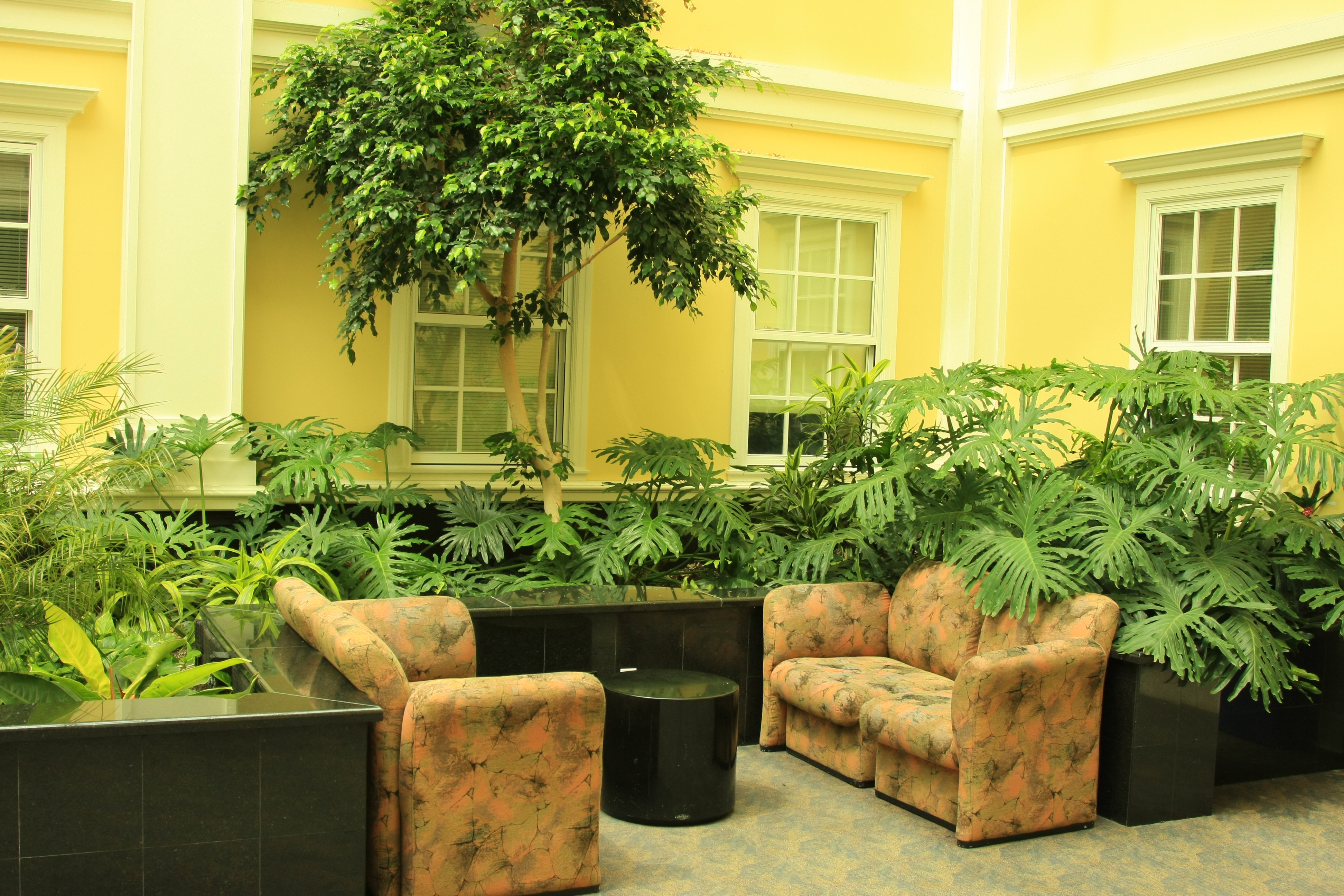 Indoor Plants: “Talking About Turning Your Home Green” | Interior ...