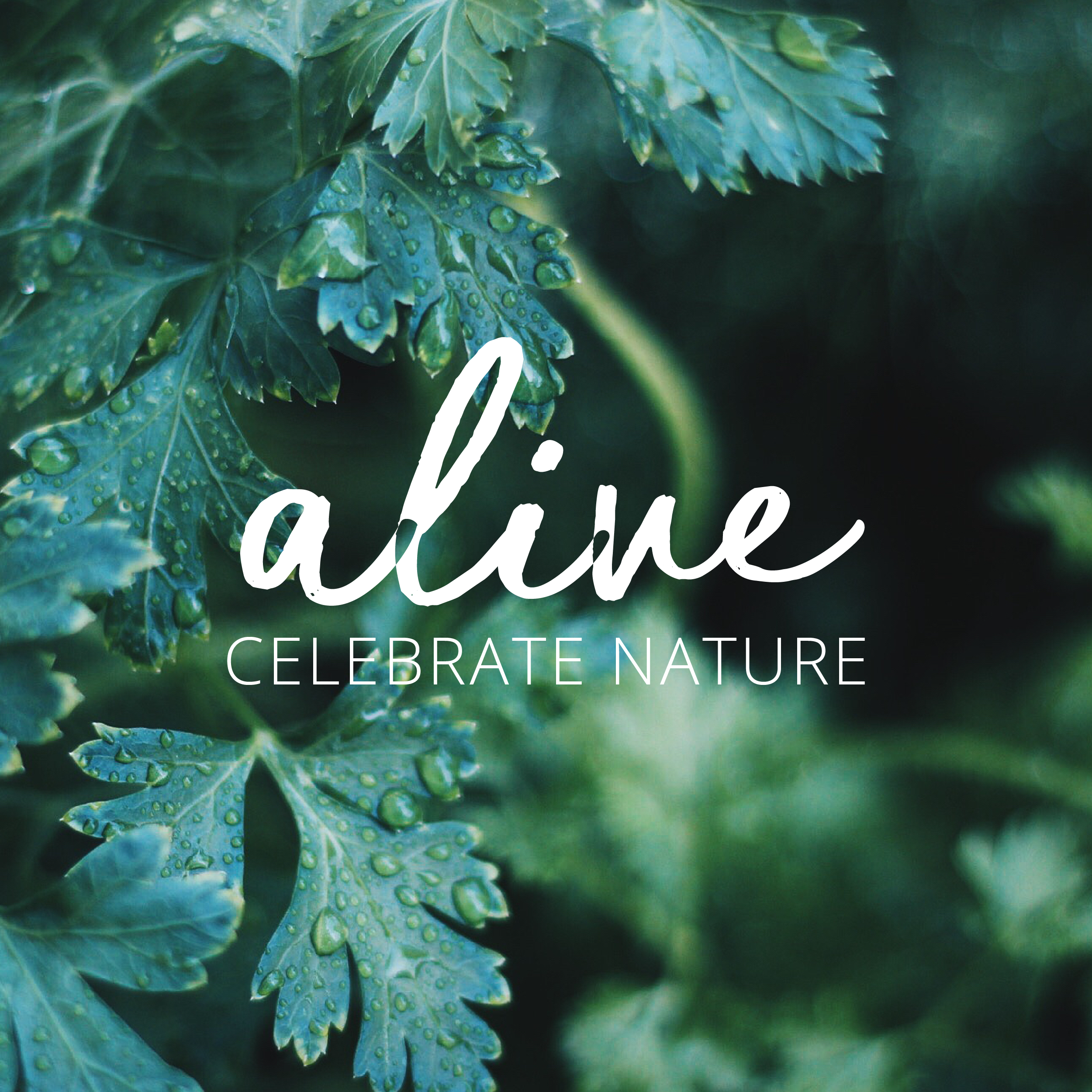 Brochures: ALIVE - Celebrate Nature - Green Plants for Green Buildings