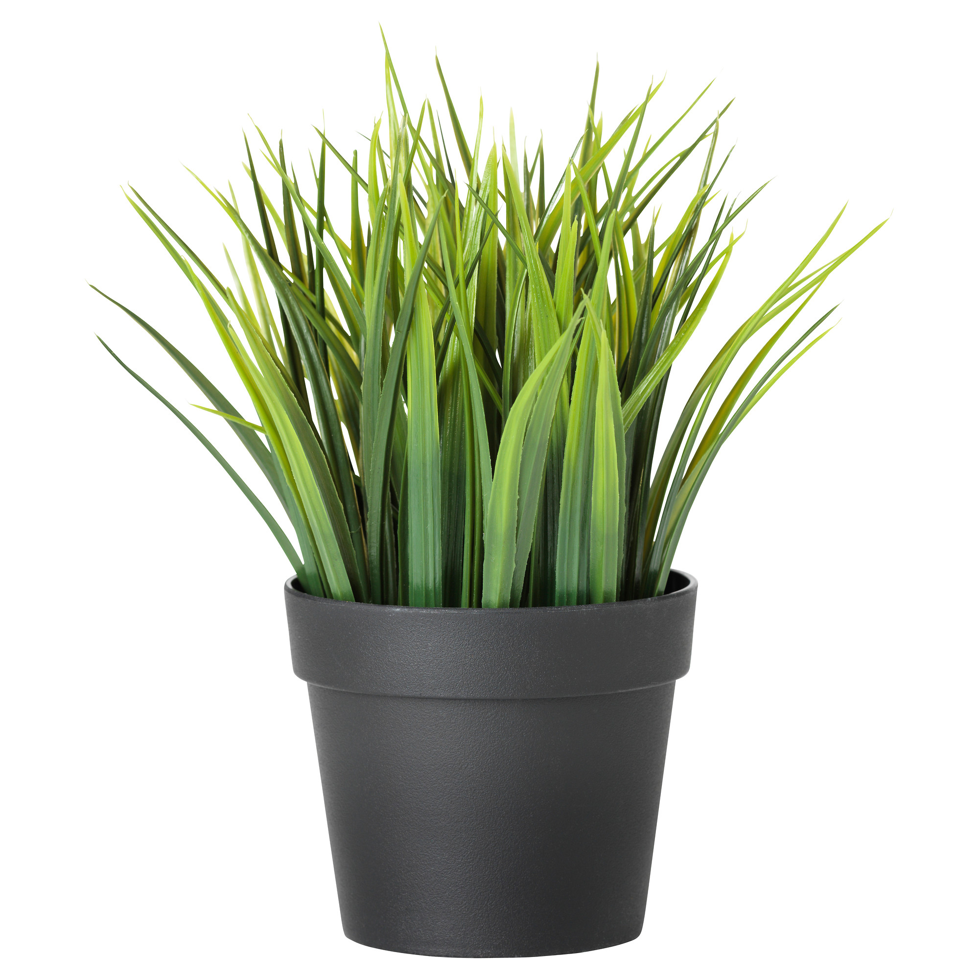 FEJKA artificial potted plant, grass, Artificial Plants | IKEA Κύπρος