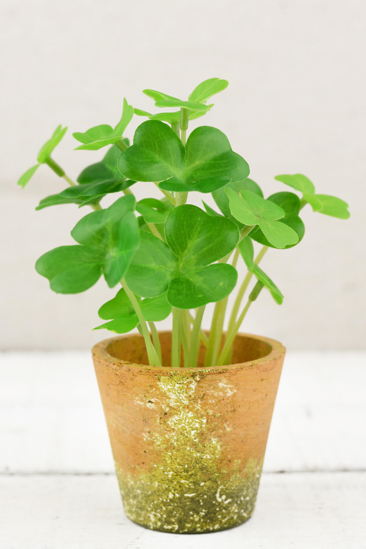 Clover Potted Plant 7