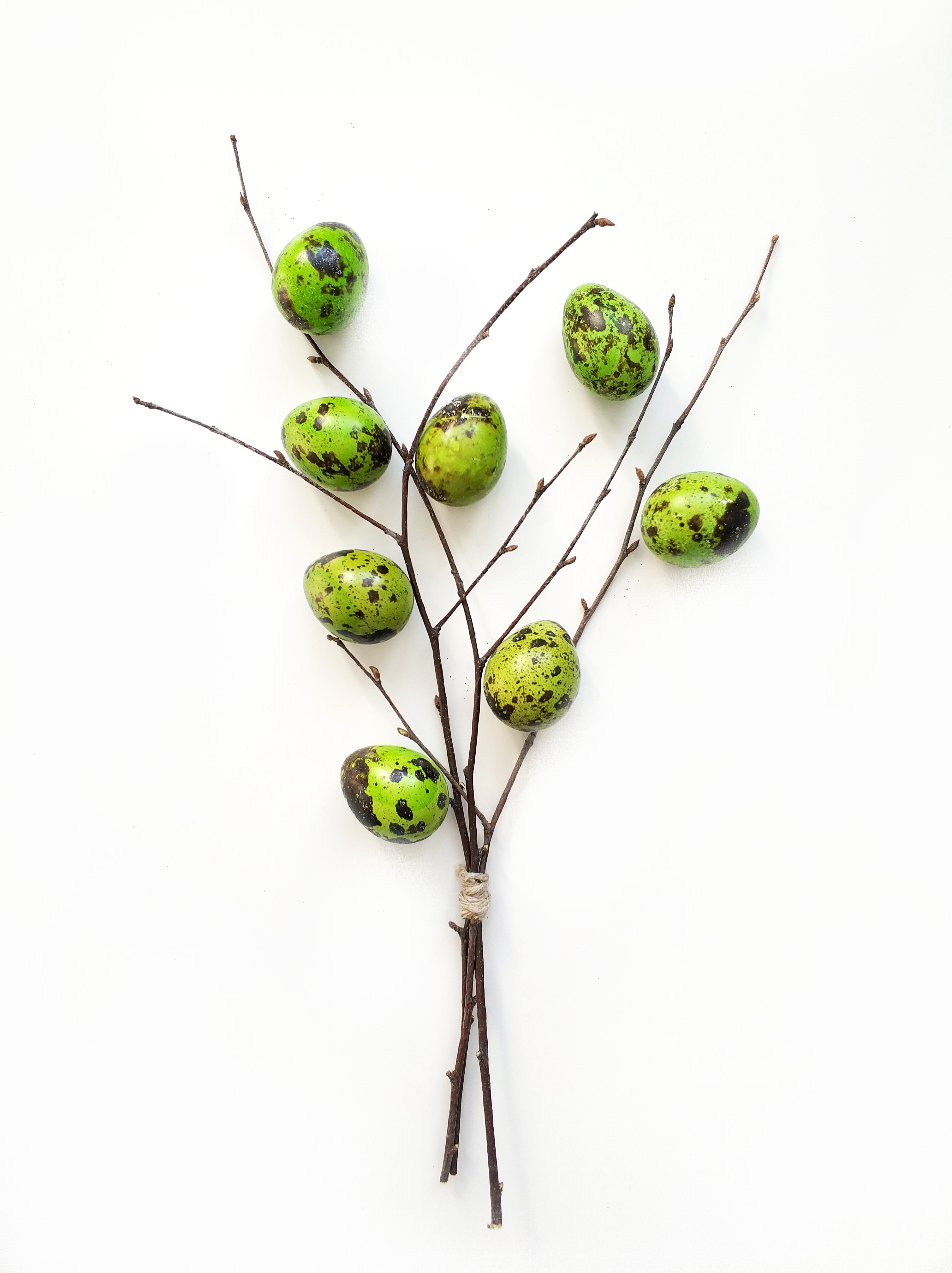 Green Quail Eggs on Tree Branch, Art, Display, Stems, Little, HQ Photo