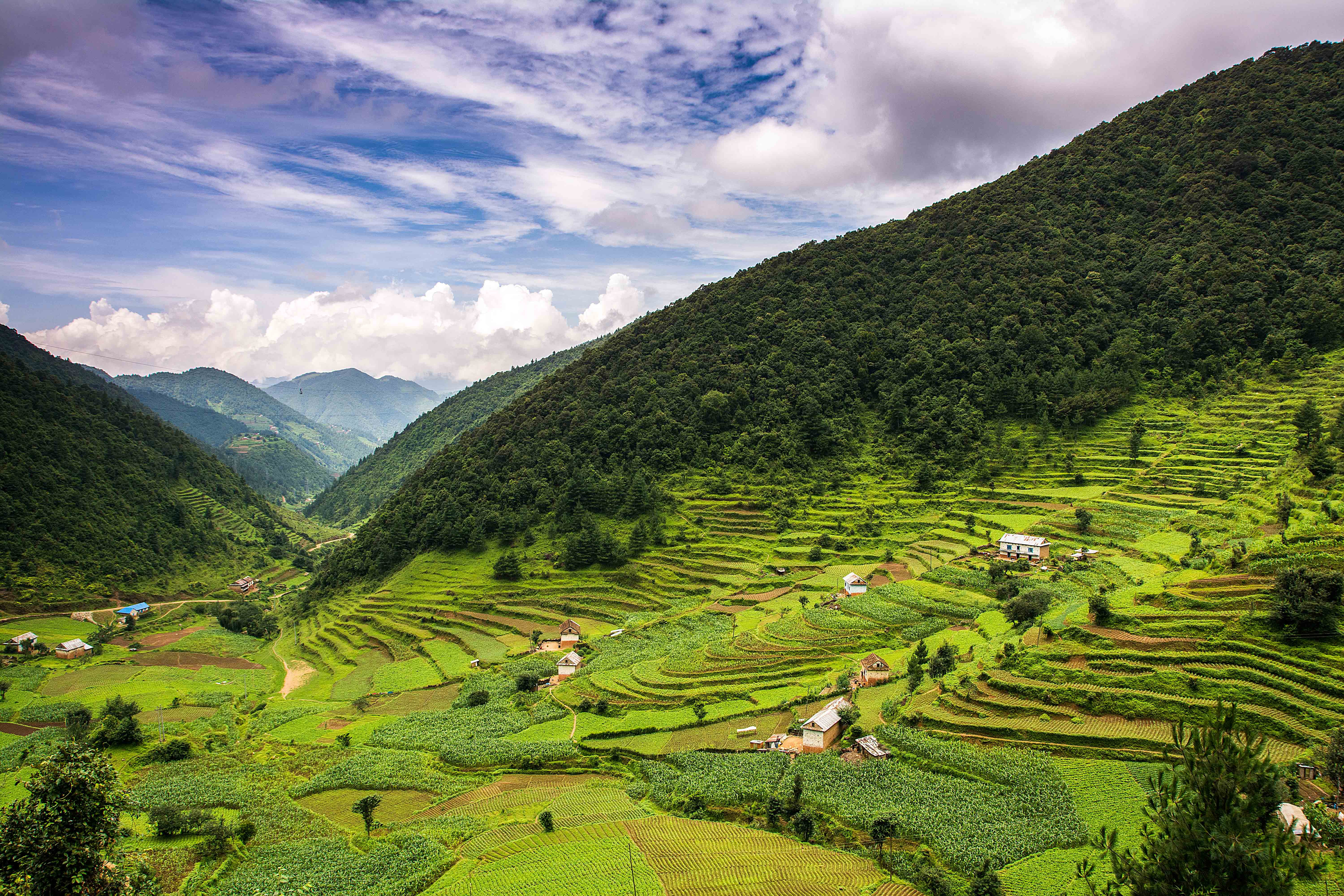 Green rice terraces, nepal HD wallpaper | Wallpaper Flare