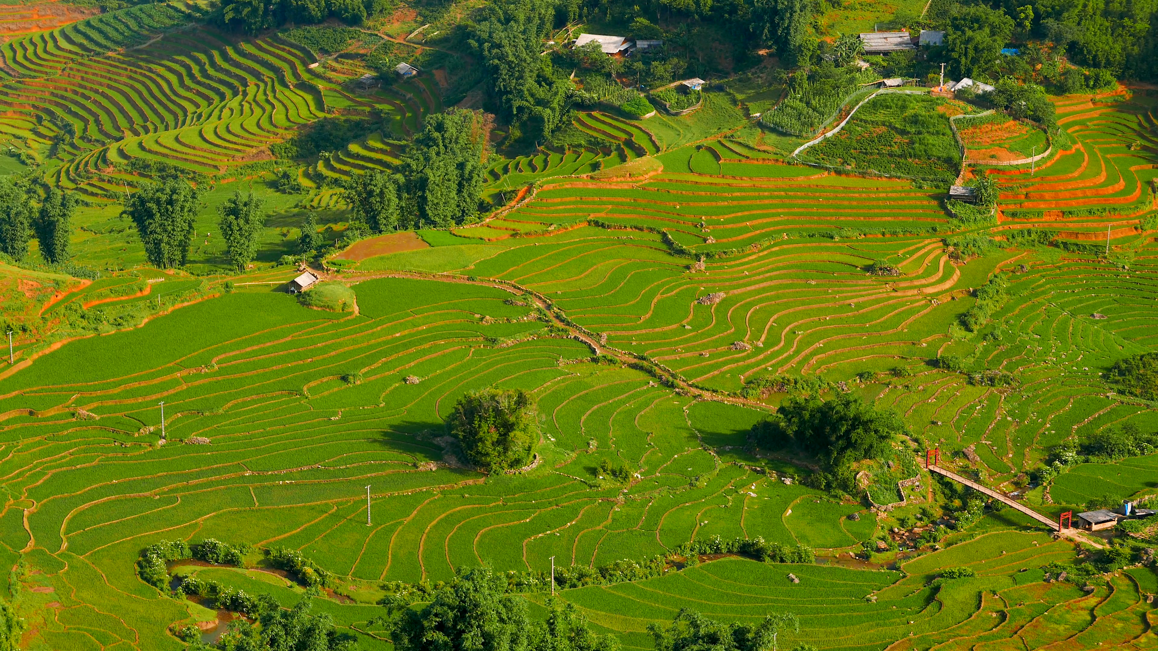 View of valley with green rice terraces and bridge. Sapa, Vietnam ...