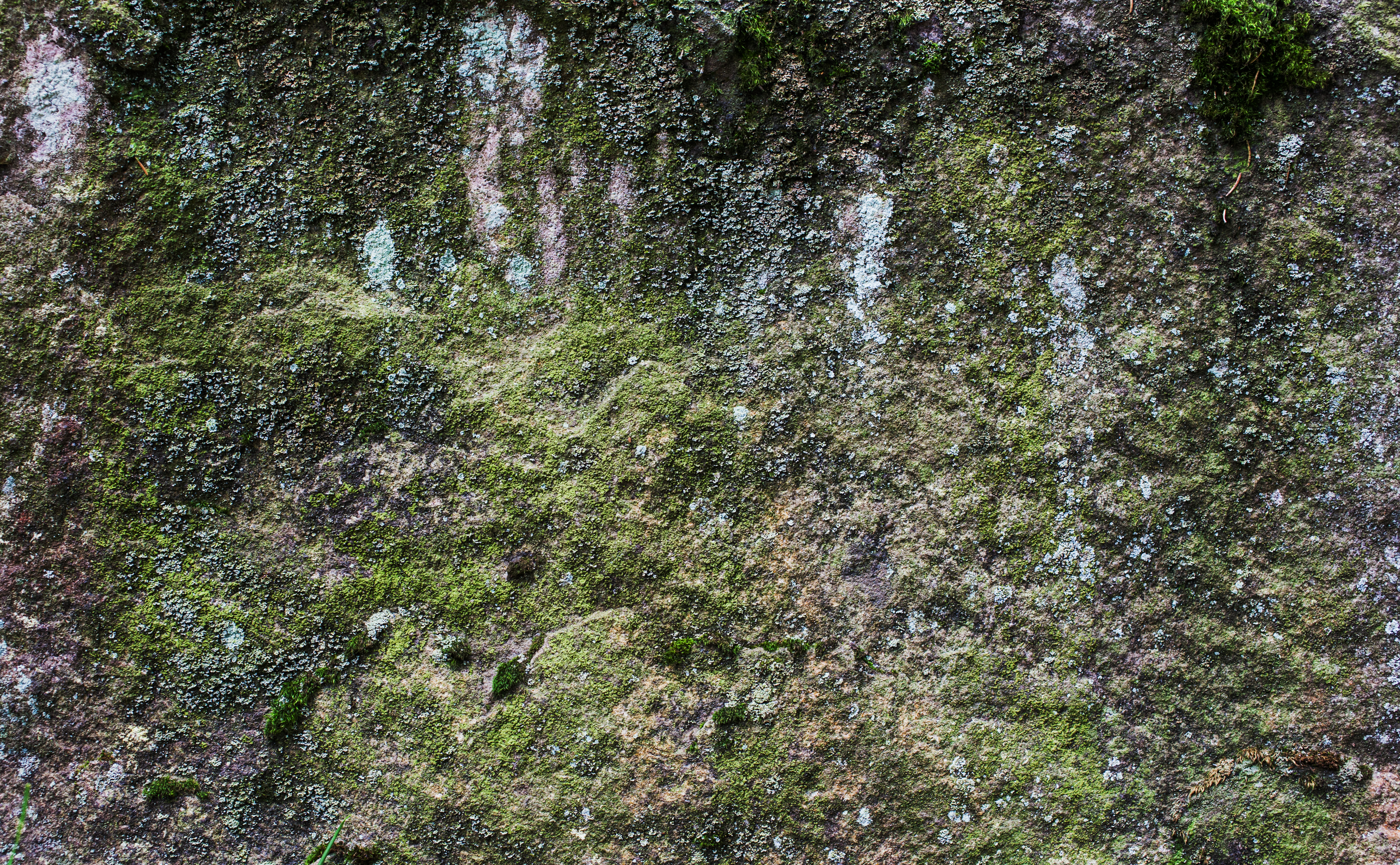 Green rock texture photo