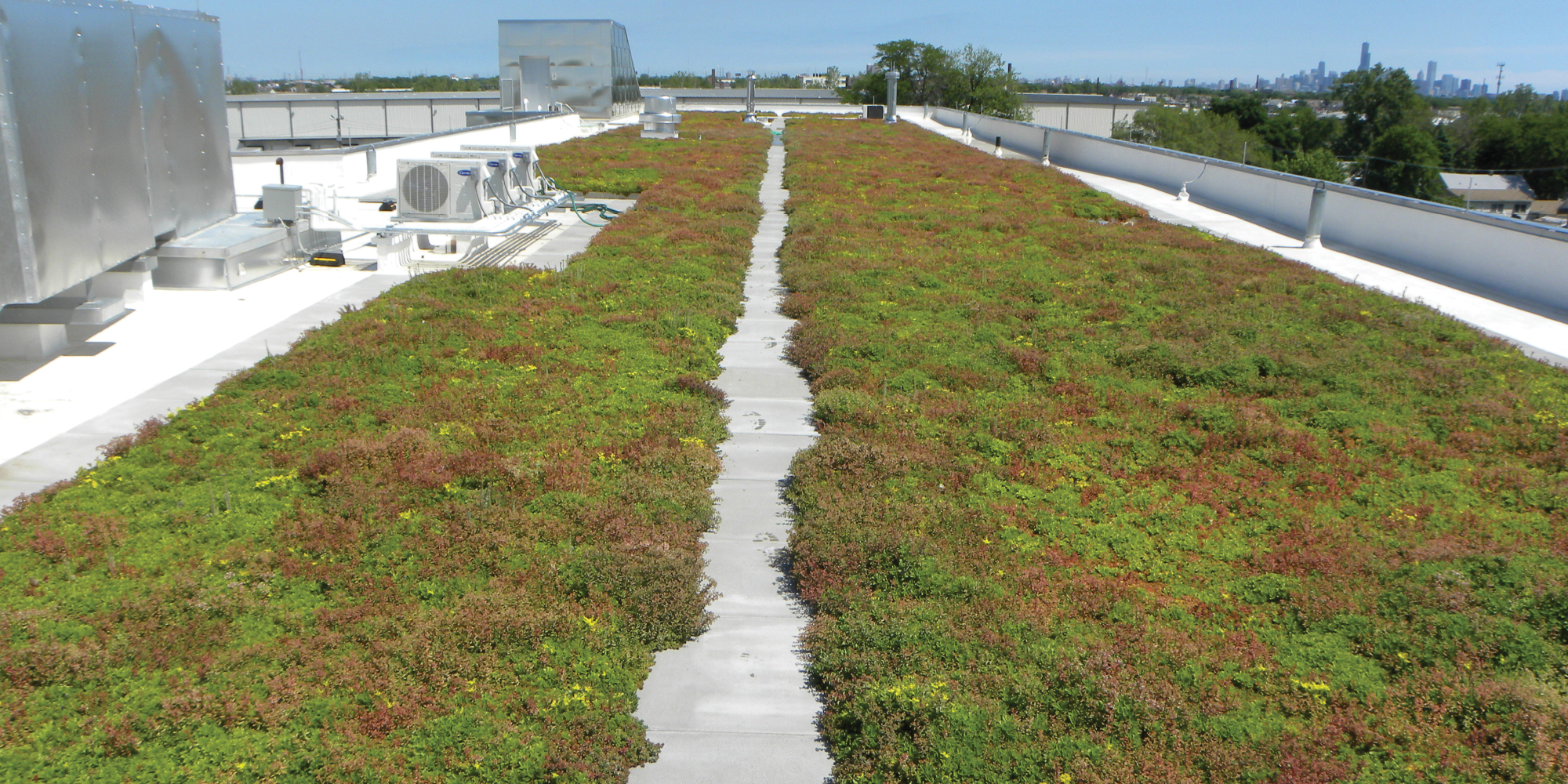 Green Roof Solutions