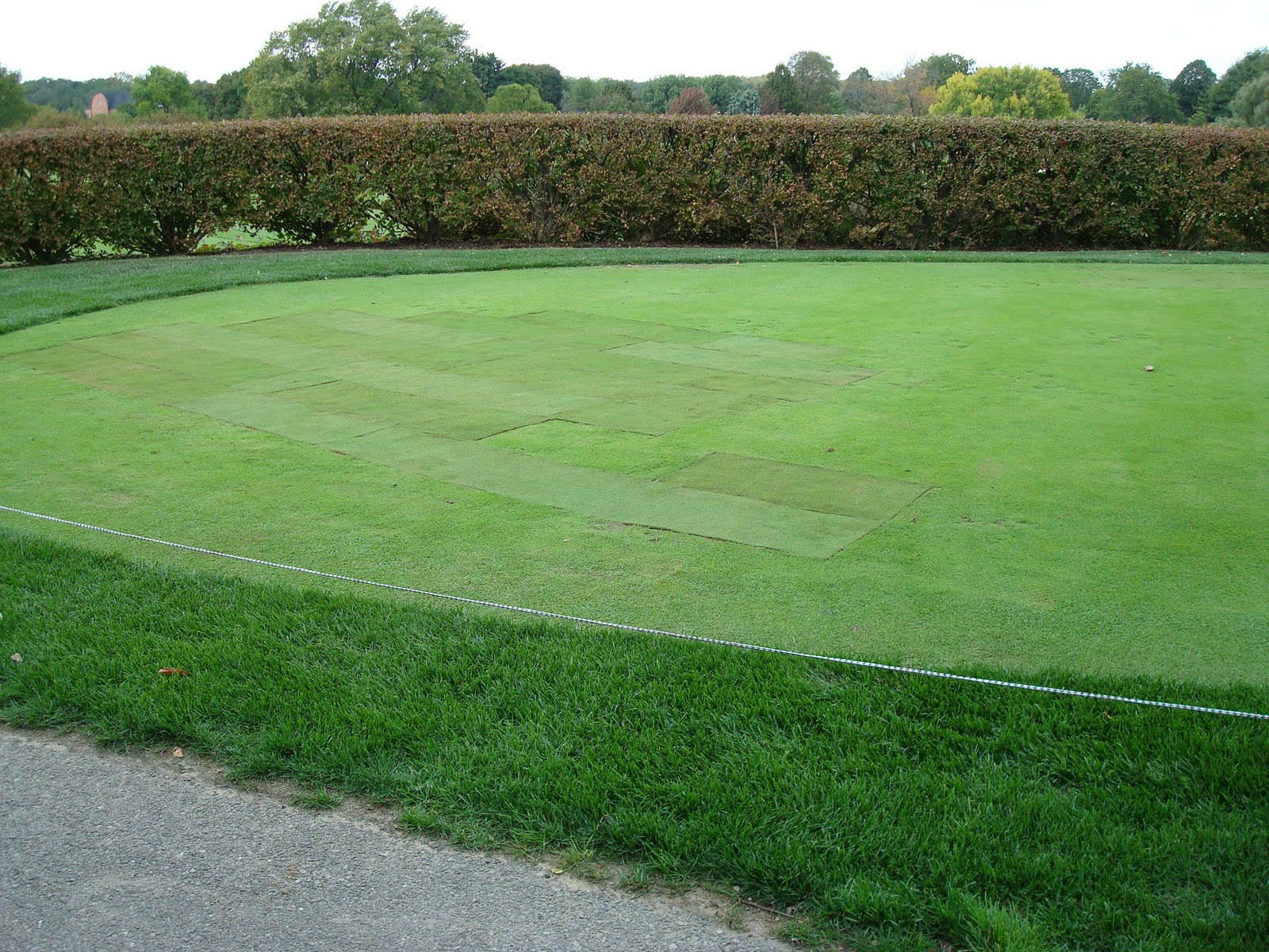 Putting Green Update | Naperville Country Club Green Department