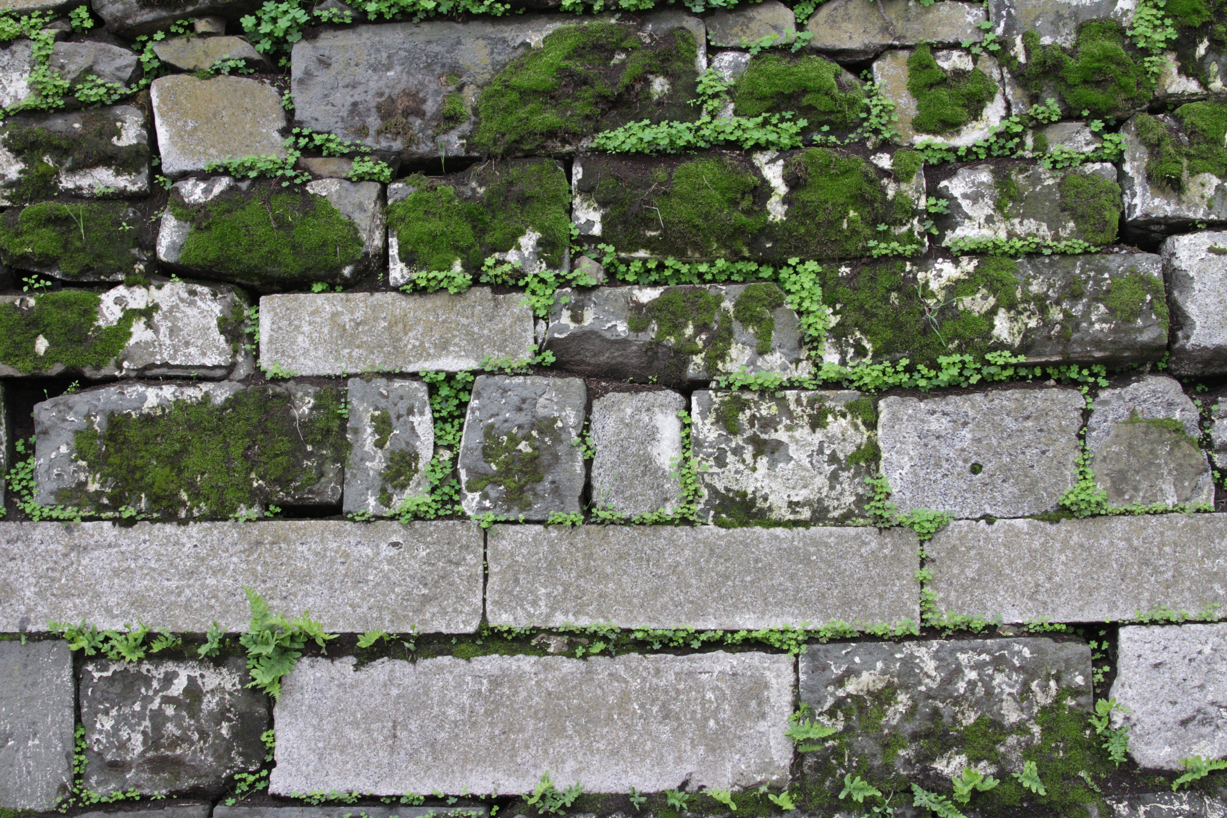 Moss Covered Stone Wall Texture - 14Textures