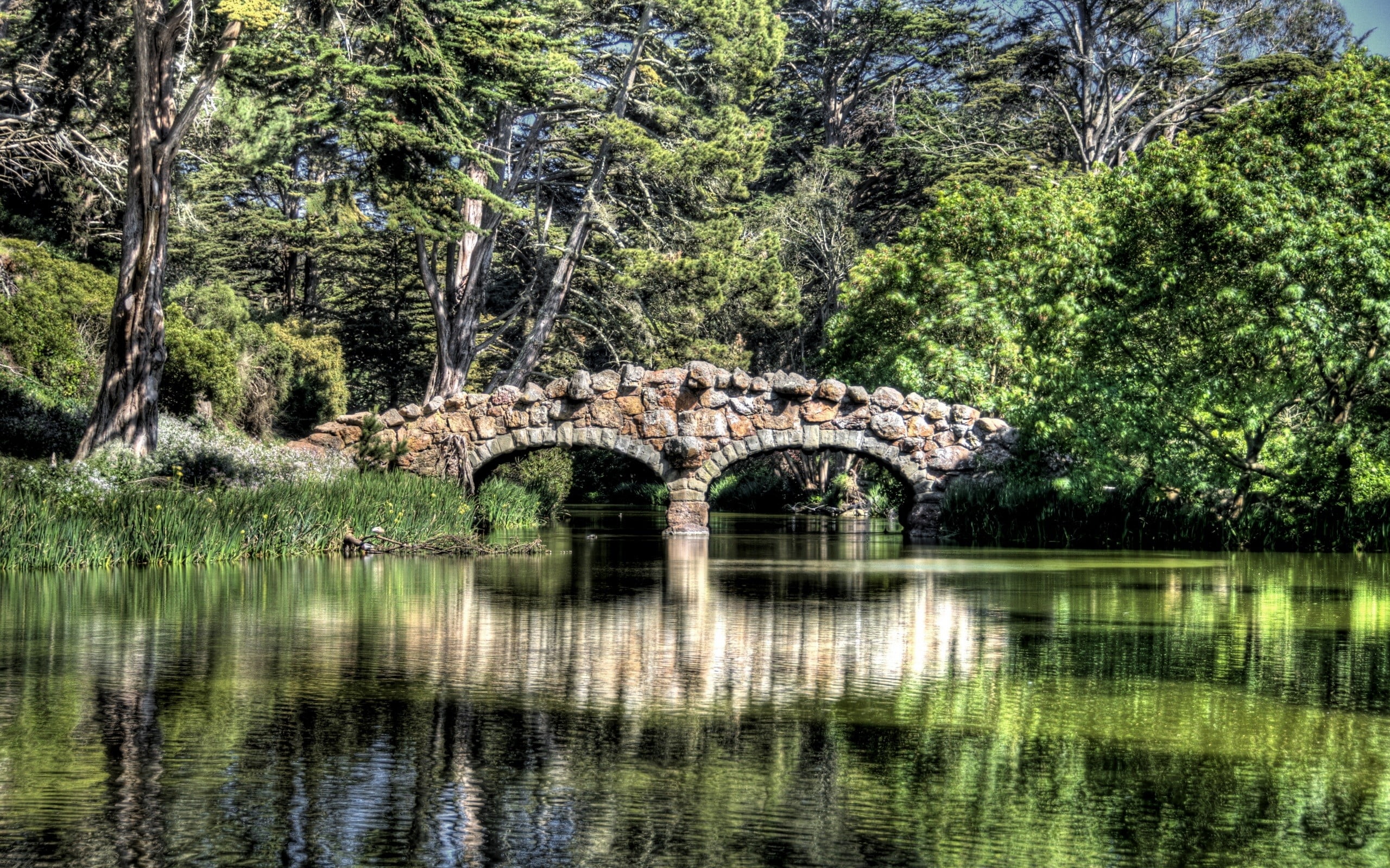 Brown and gray stone bridge surrounded with tall trees near lake ...