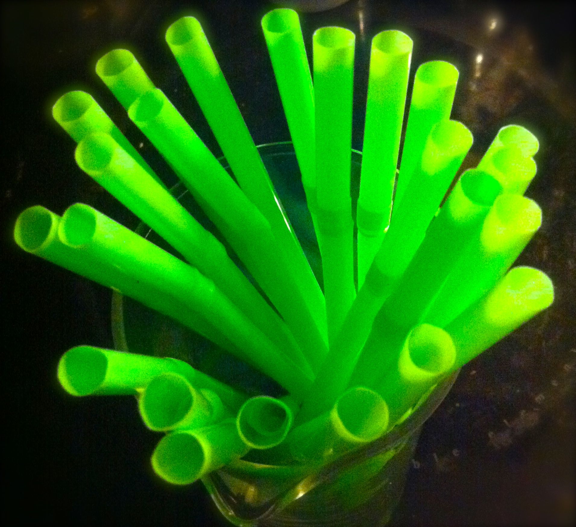 Thoughts on Green Straws 8.28.13 Thought of the Day | ritaLOVEStoWRITE