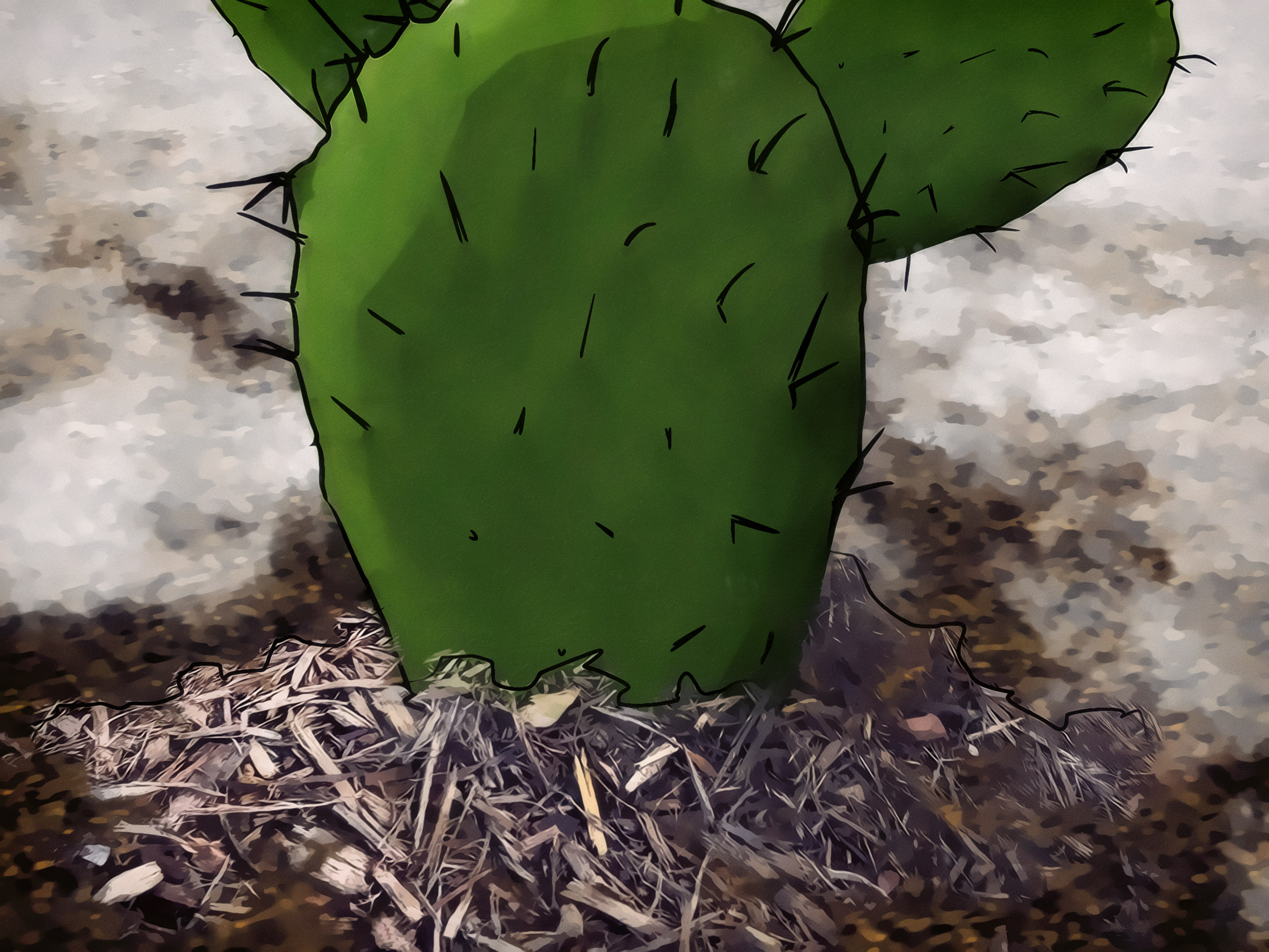 3 Ways to Grow Prickly Pears - wikiHow