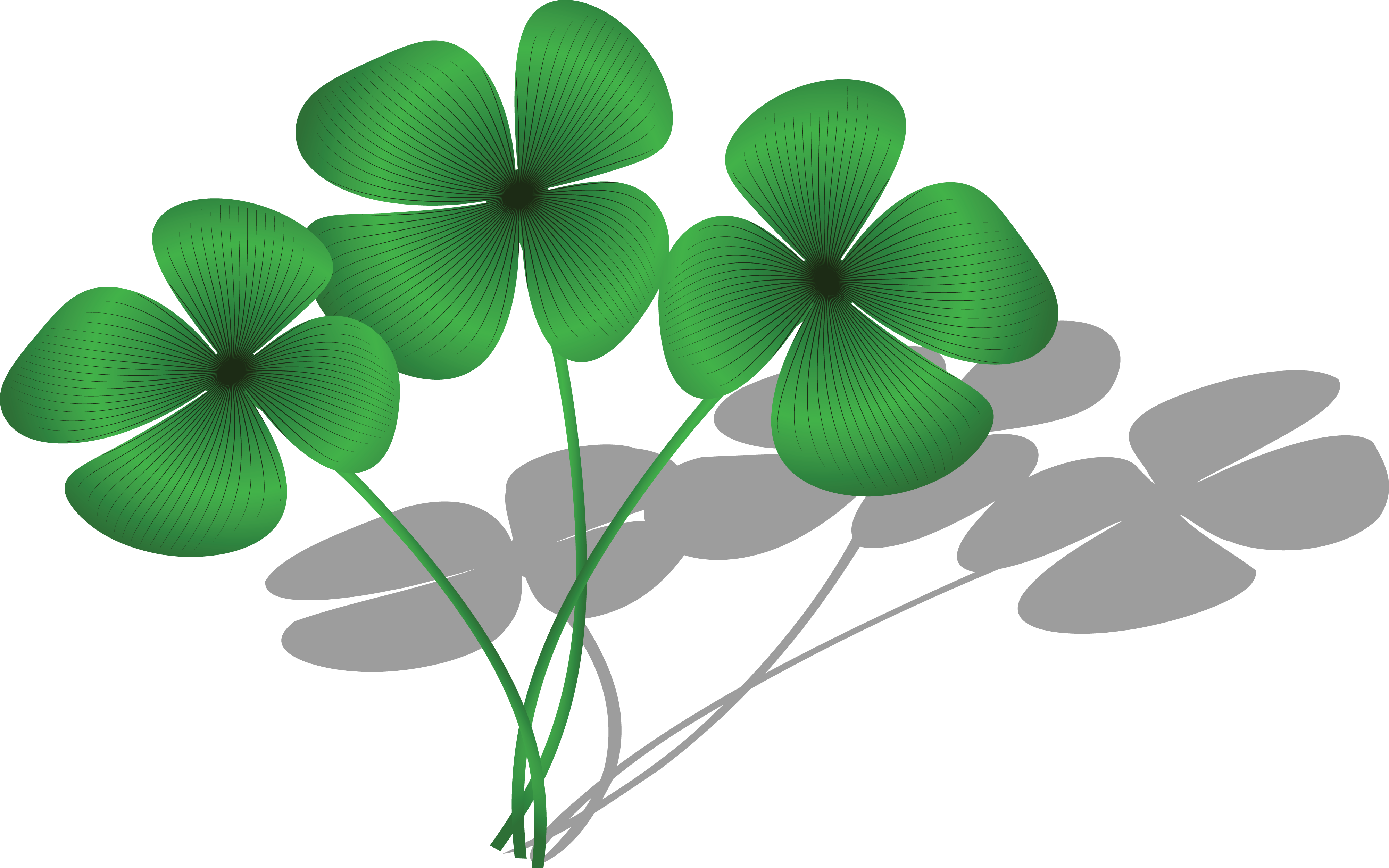 Free Clipart Of A Trio of Four Leaf Clovers and Shadows