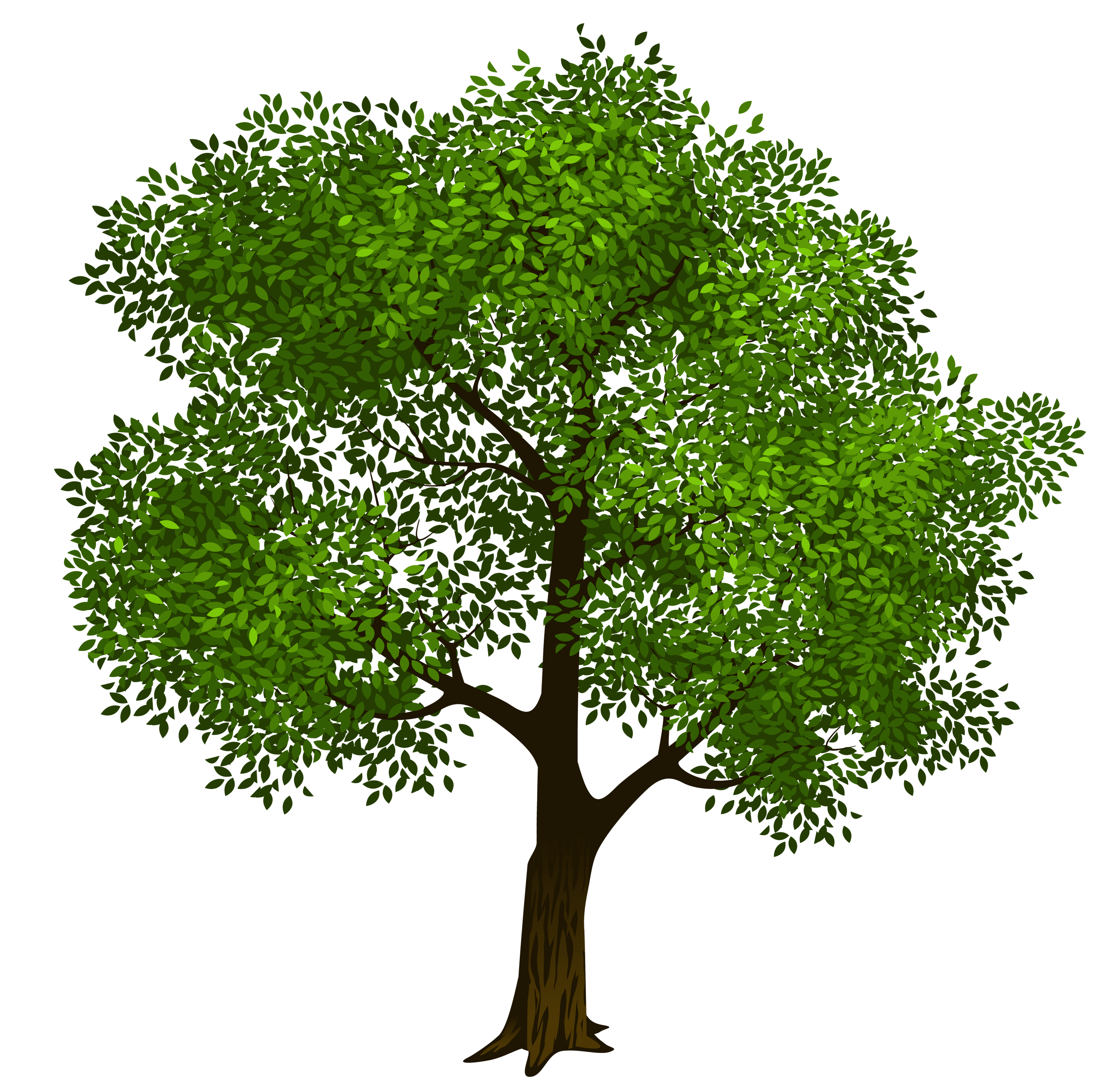 Transparent Green Tree Clipart Picture | Gallery Yopriceville ...