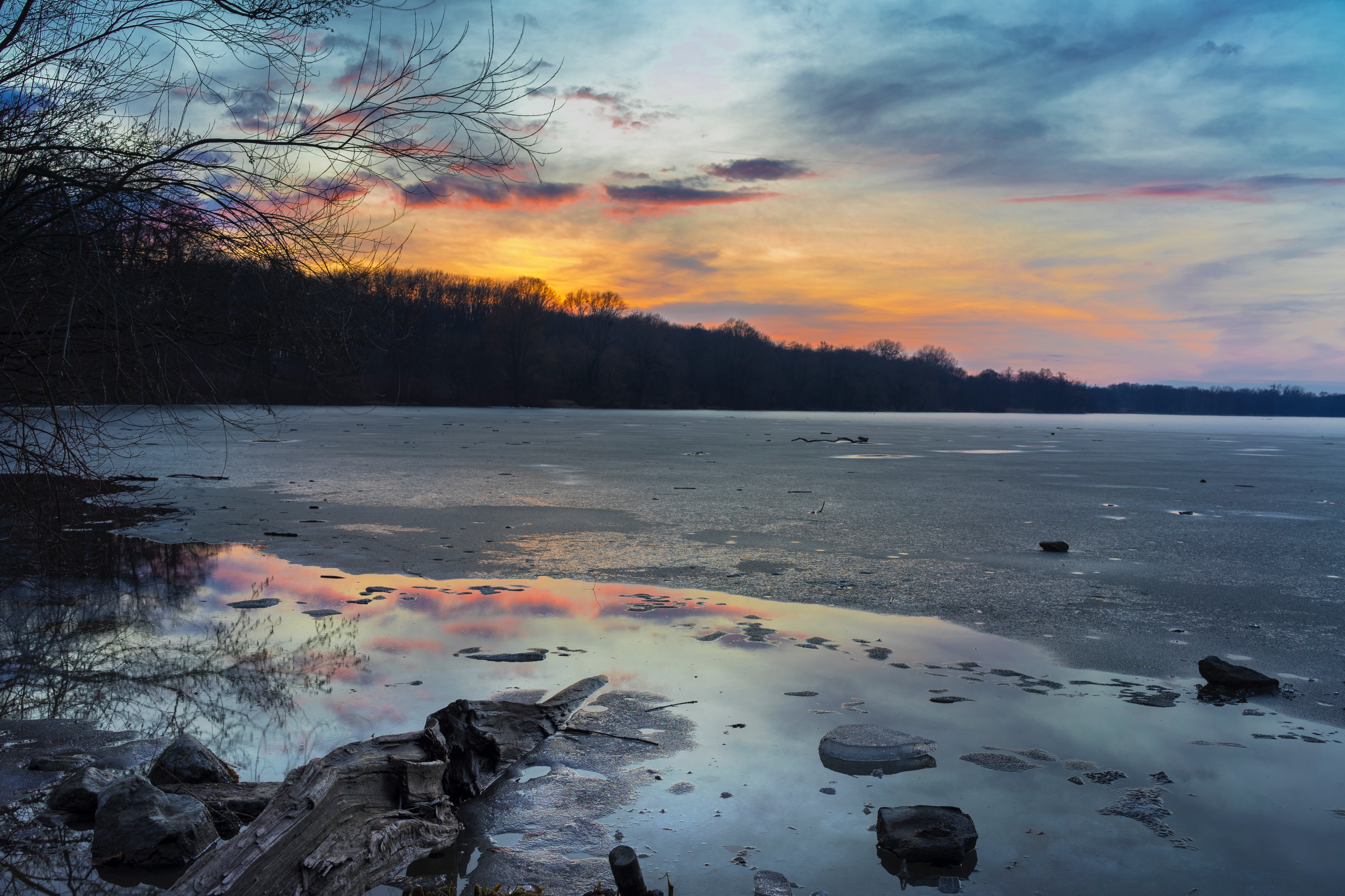 Free Photo Green Tree Line Near Body Of Water At Golden Hours Beach 