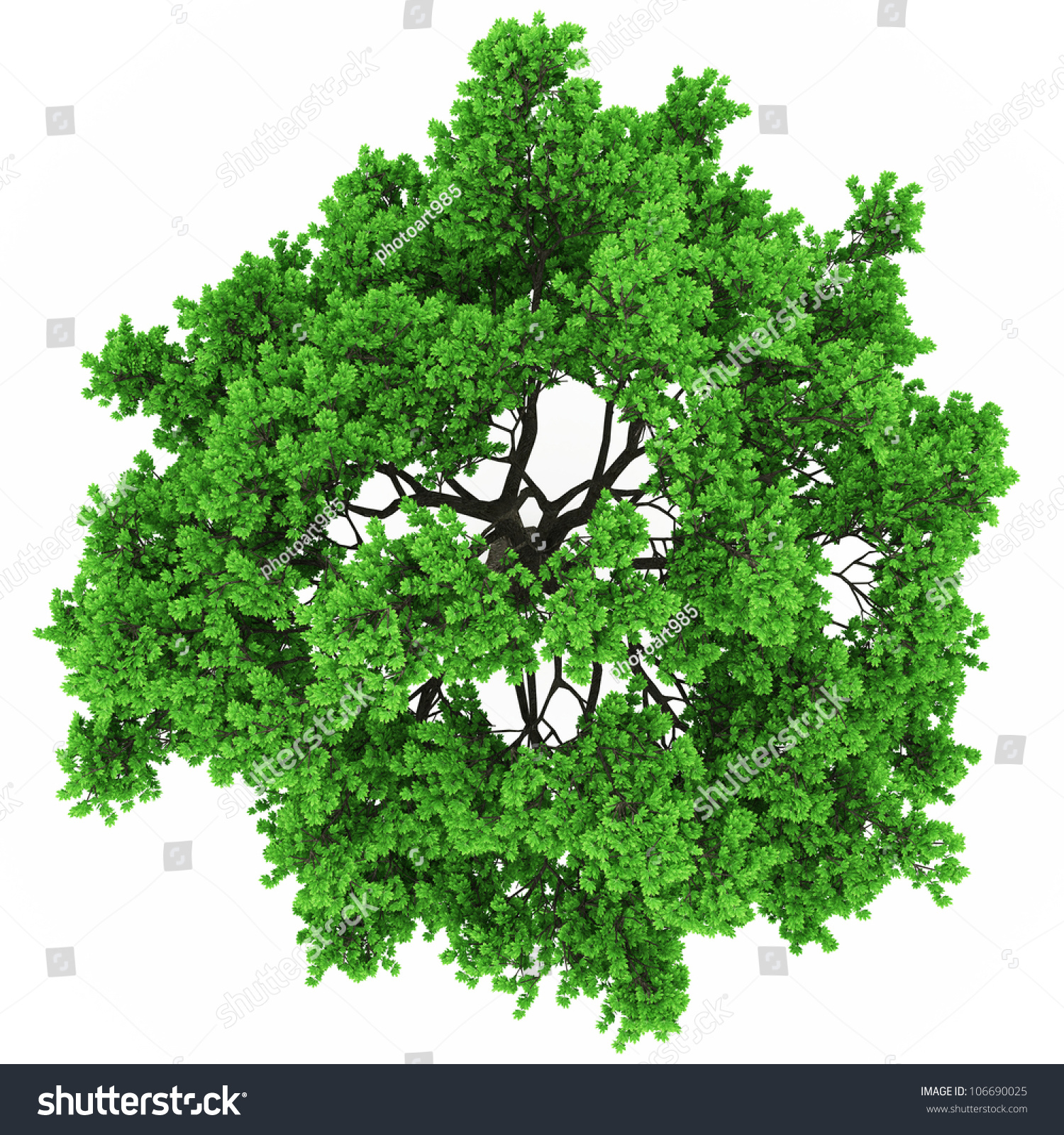 Tree Top View 100 Mpix Stock Illustration 106690025 - Shutterstock