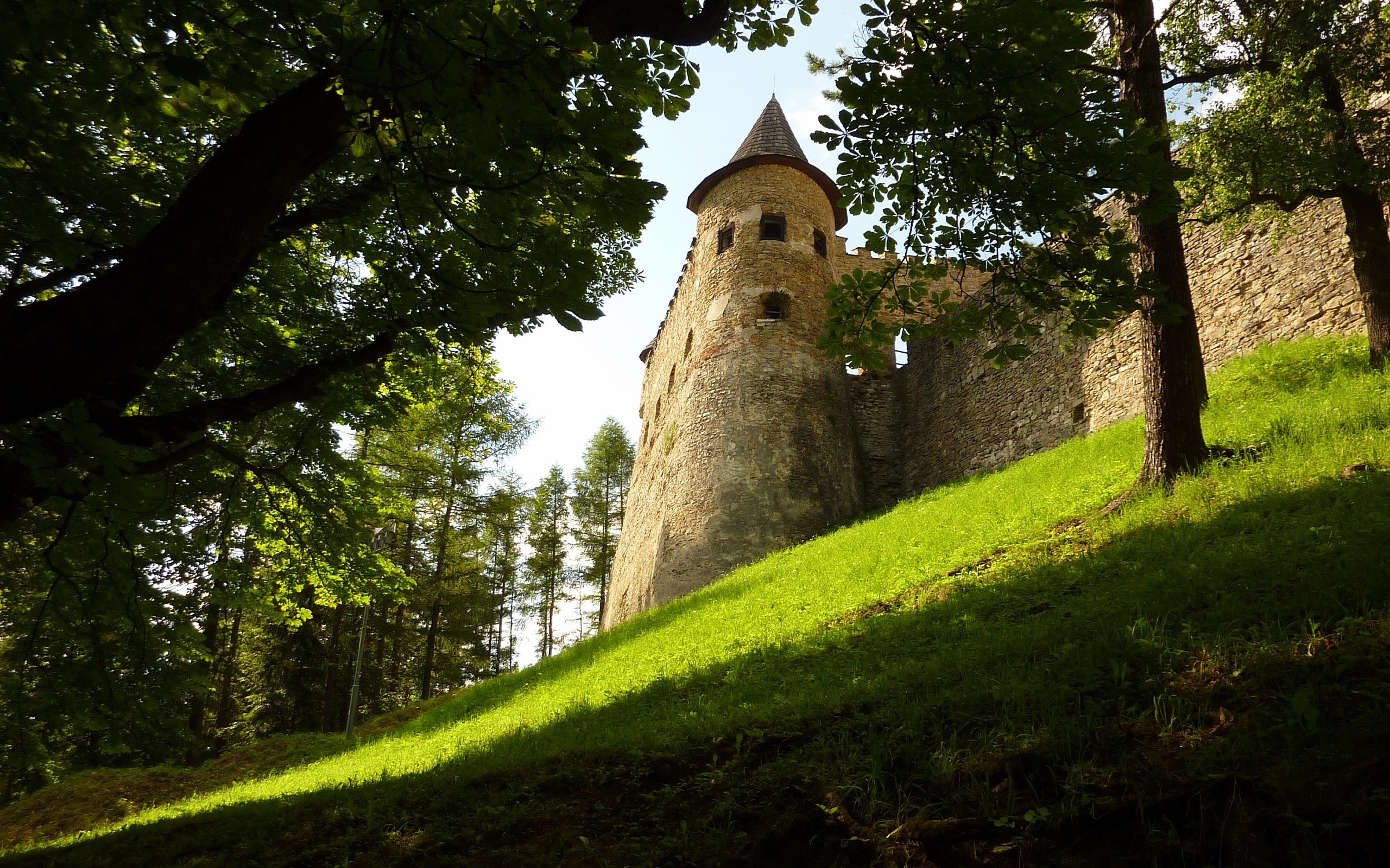 Башня на холме. Старинный замок. Замок летом. Замок в лесу. Крепость в лесу.