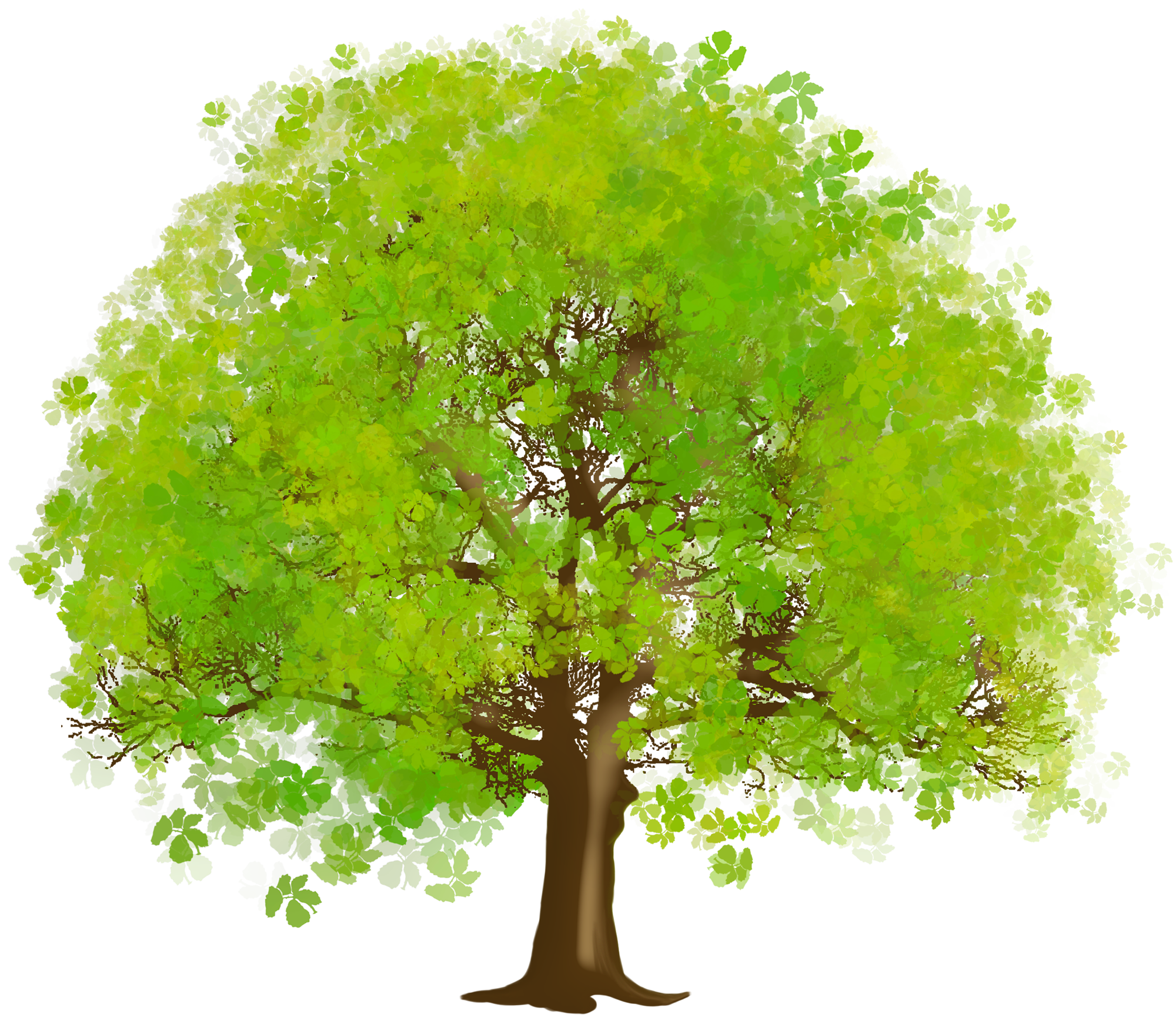 Large Green Tree PNG Clipart | Illustrations | Pinterest | Clipart ...