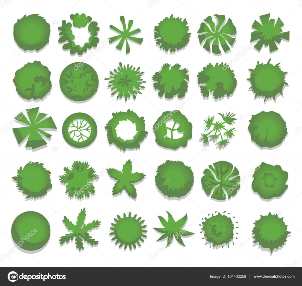 Set of different green trees, shrubs, hedges. Top view for landscape ...