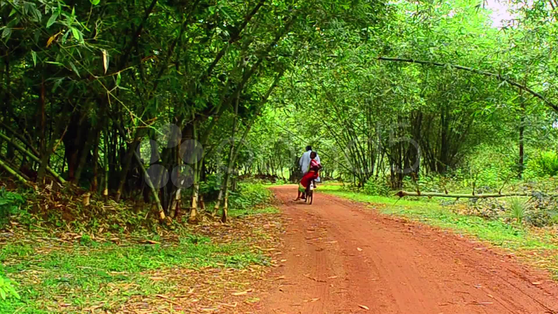 Stock Video: Couple cycling on village road ~ #21821124
