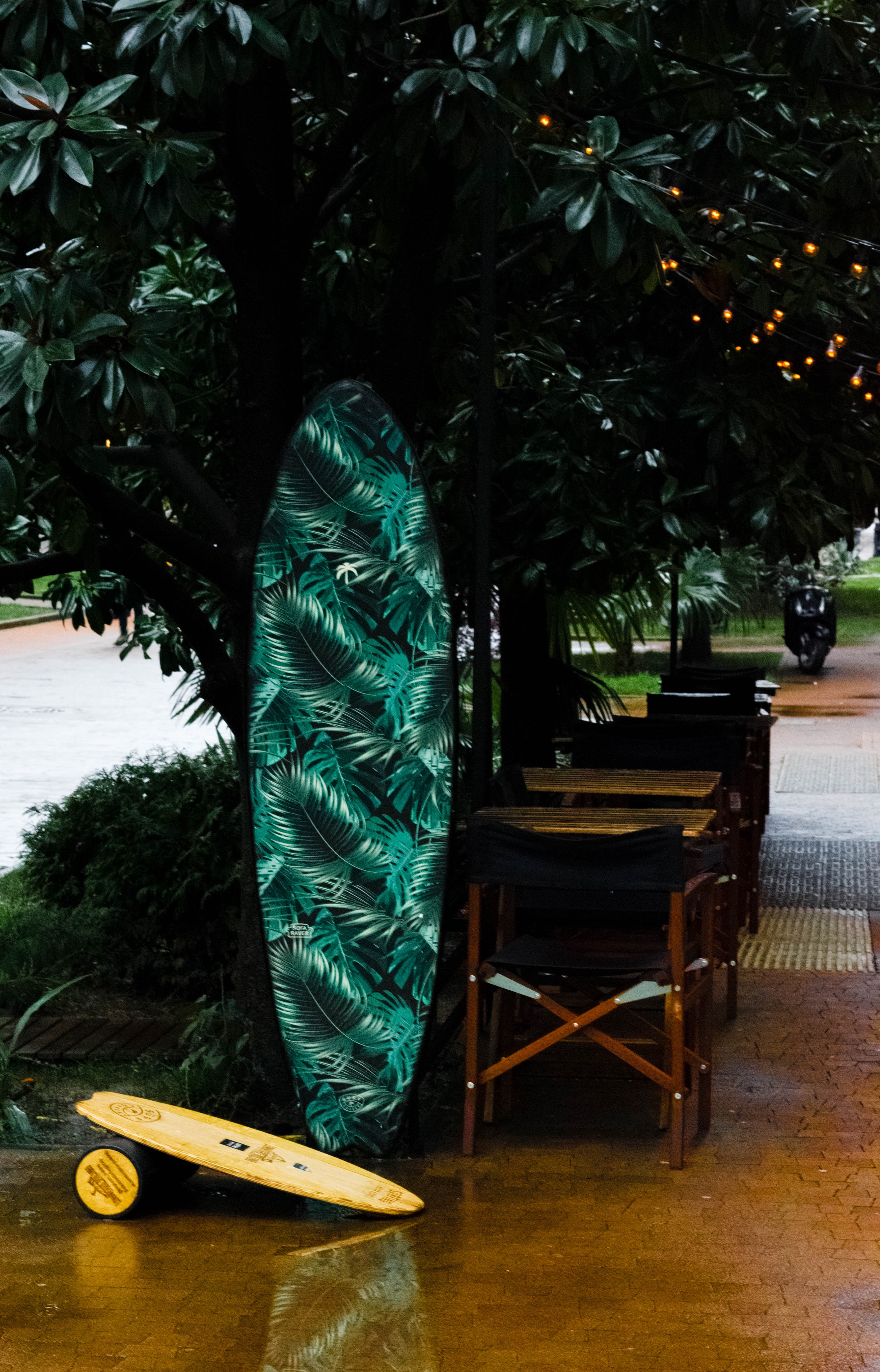 Green, White, and Black Leaf Print Surfboard Near Tree, Chairs, Daylight, Floor, Furnitures, HQ Photo