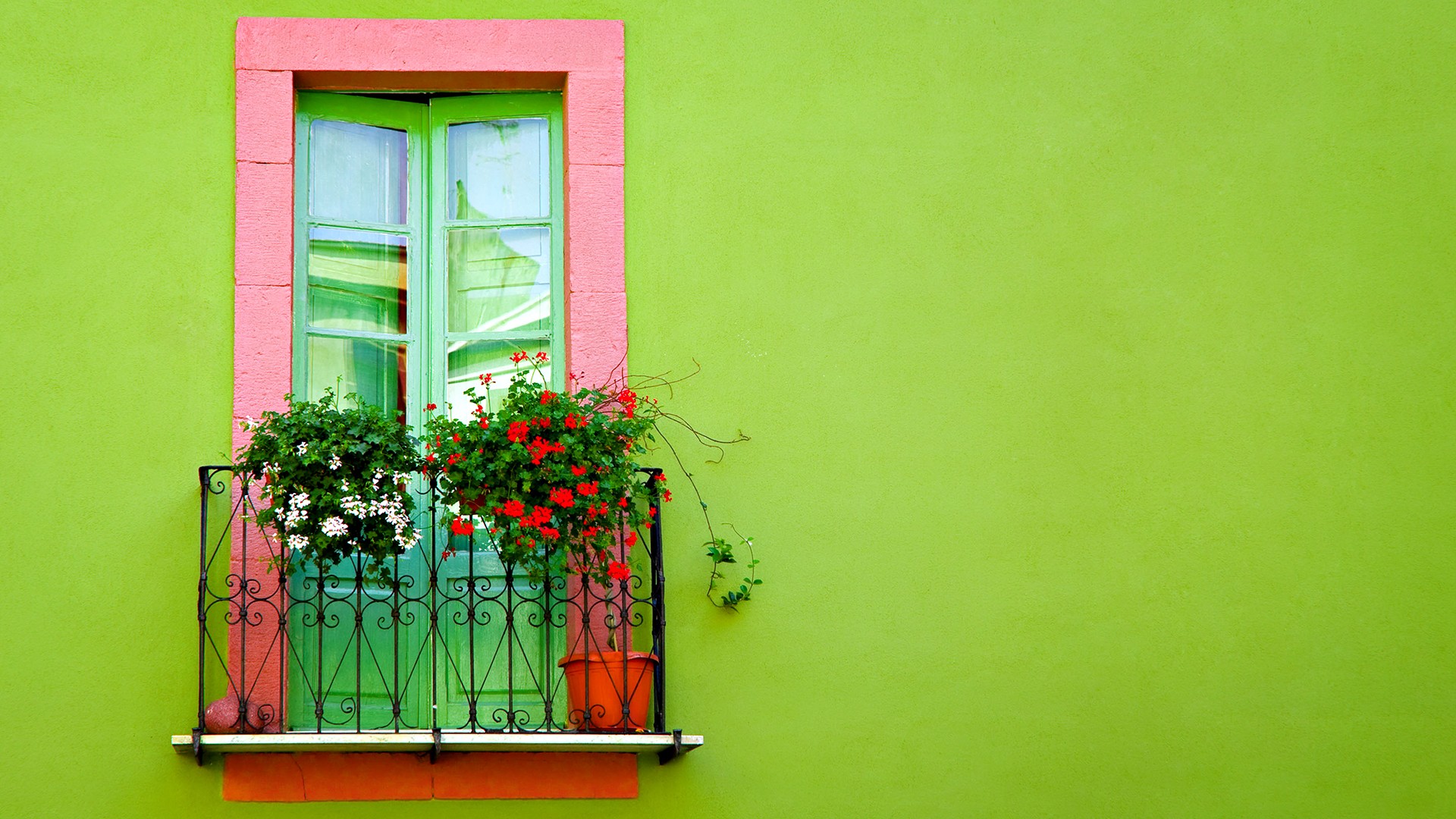 Green Wall Window Wallpapers | HD Wallpapers | ID #10025