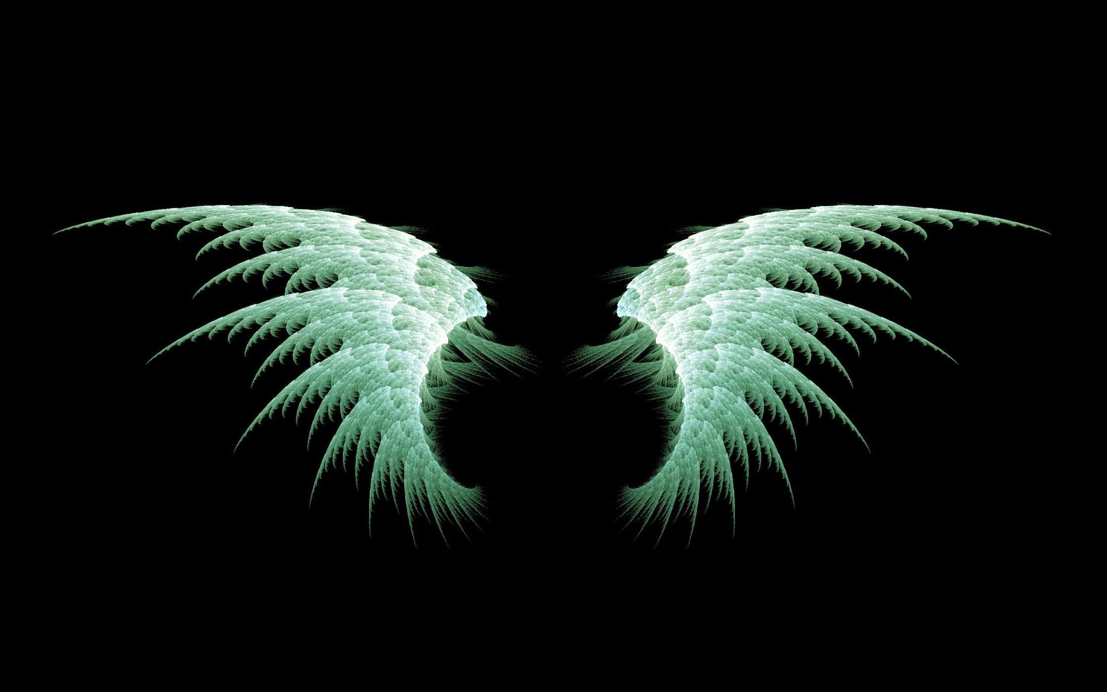 Green Angel Wings HD desktop wallpaper : Widescreen : High ...