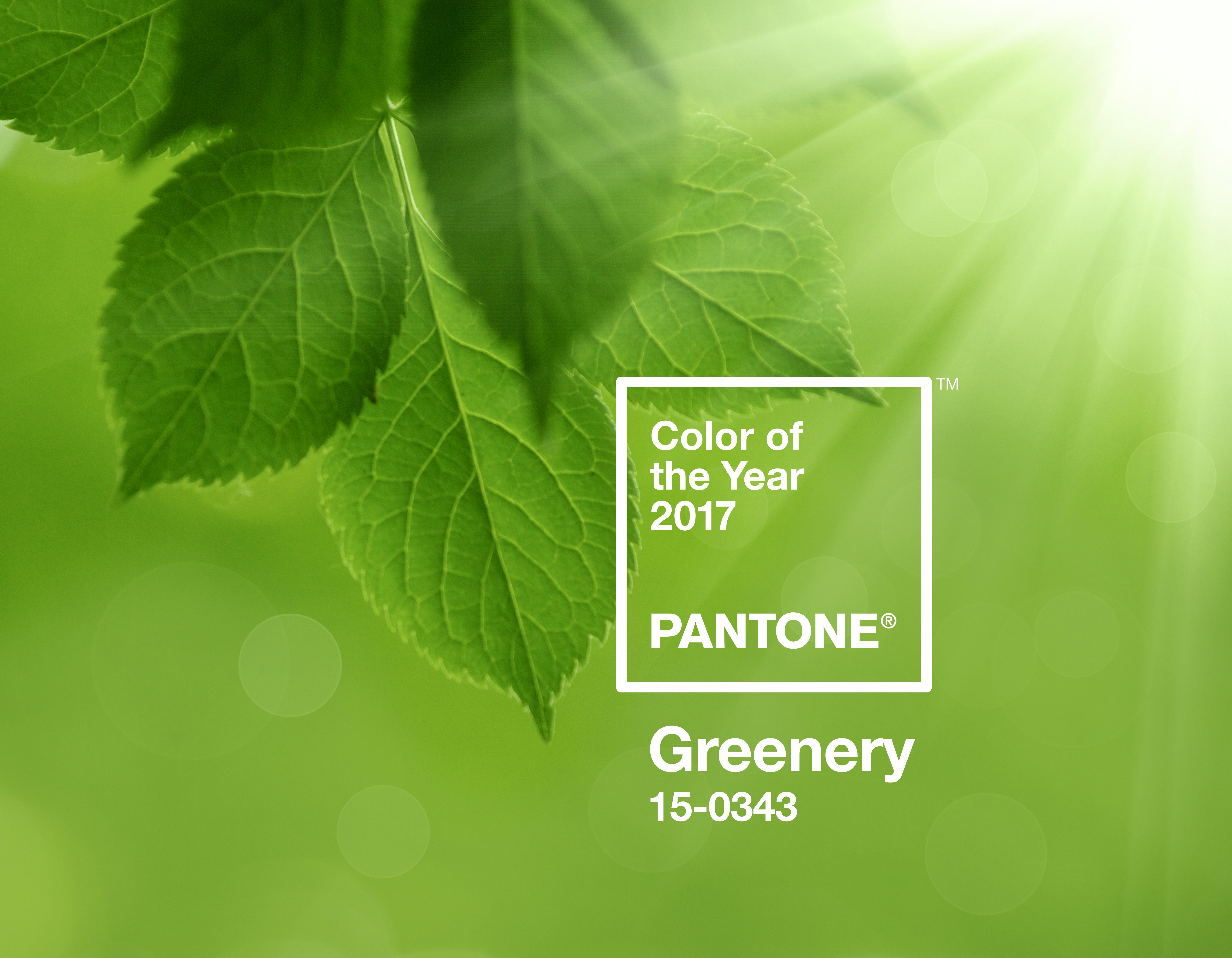Pantone Color of the Year 2017: Greenery! - Scrapbook Update
