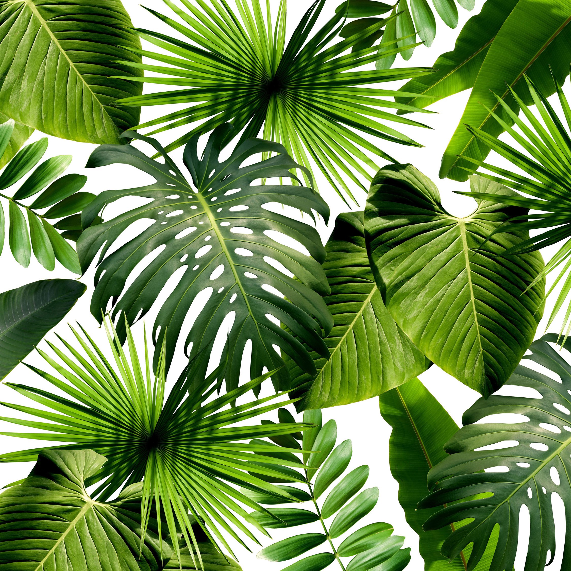 15 Greenery-Hued Home Products Inspired by Pantone's 2017 Color of ...