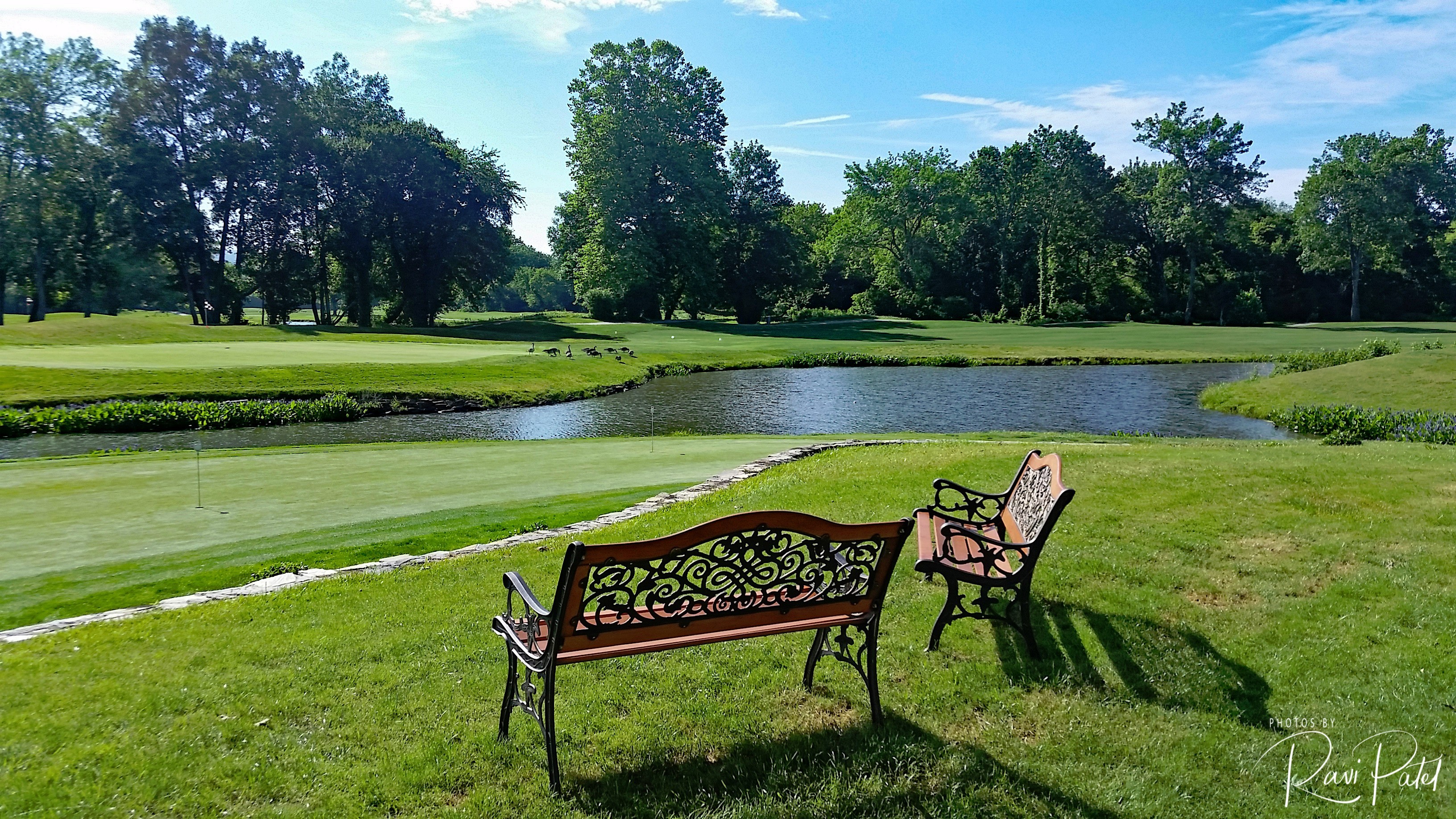 Benches to Watch Golfing Greenery | Photos by Ravi