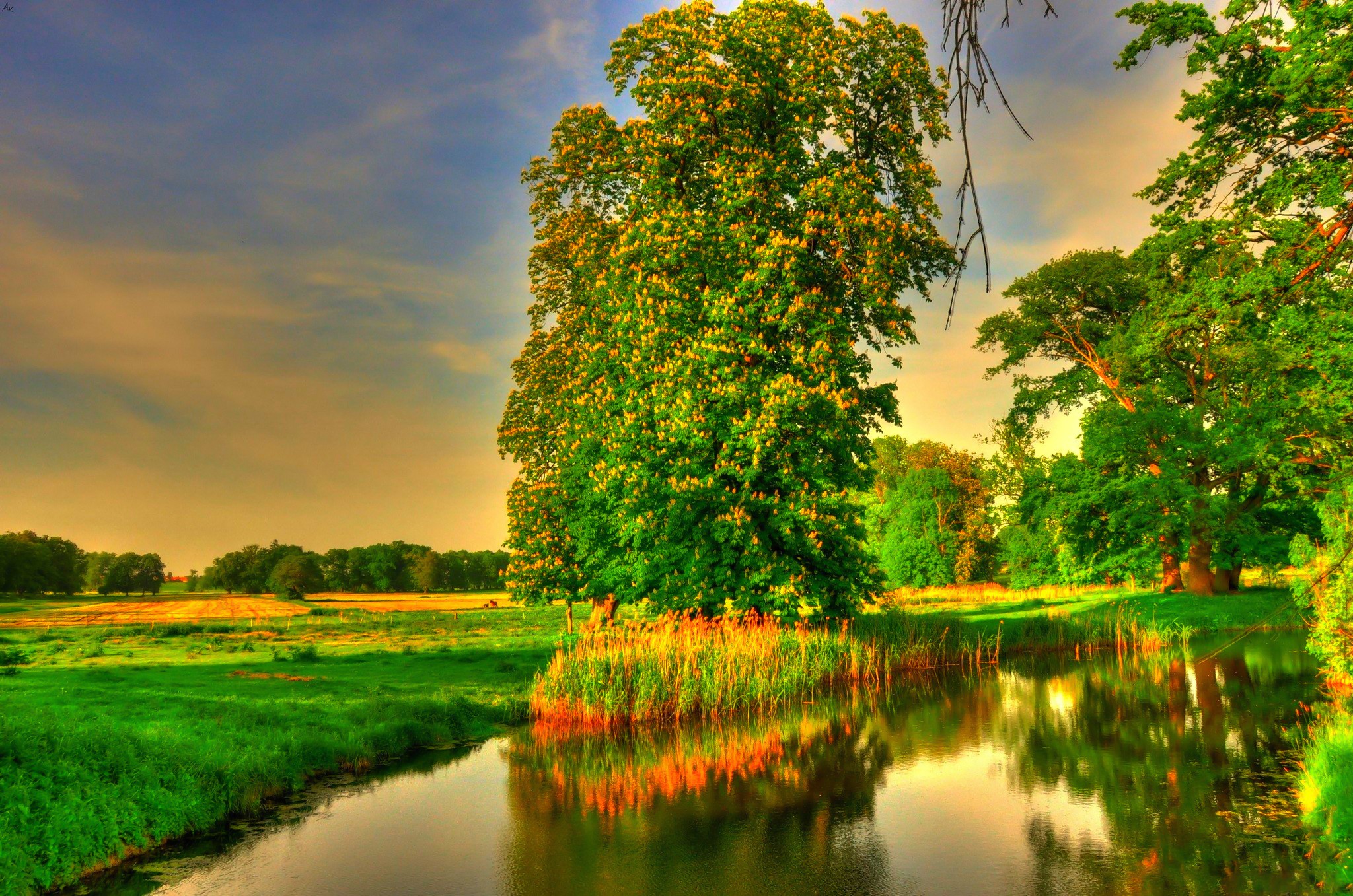 Rivers: Greenery Clouds Scenic Peaceful Sky Nature Trees Green Grass ...