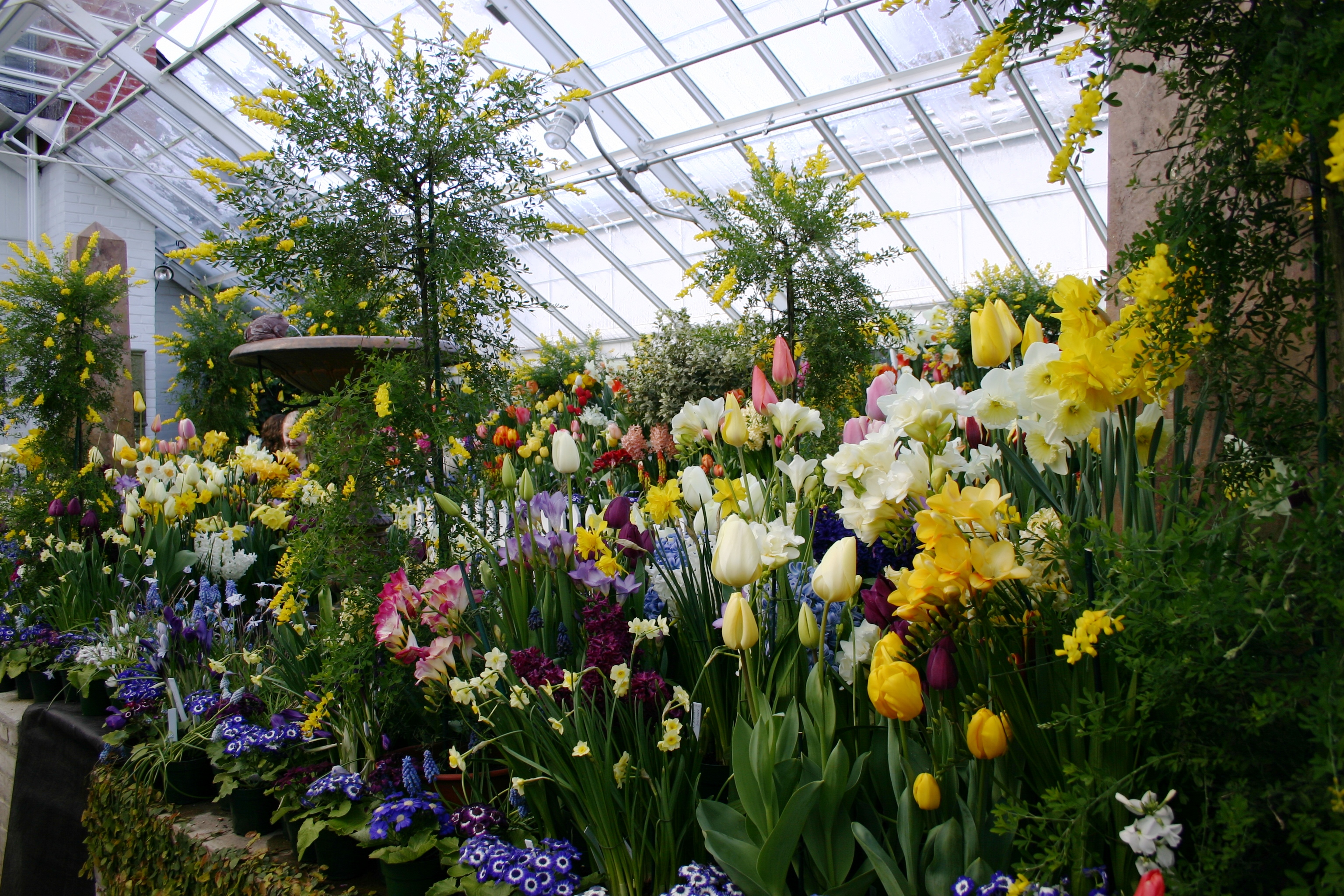 File:Smith botanic garden greenhouse.JPG - Wikipedia