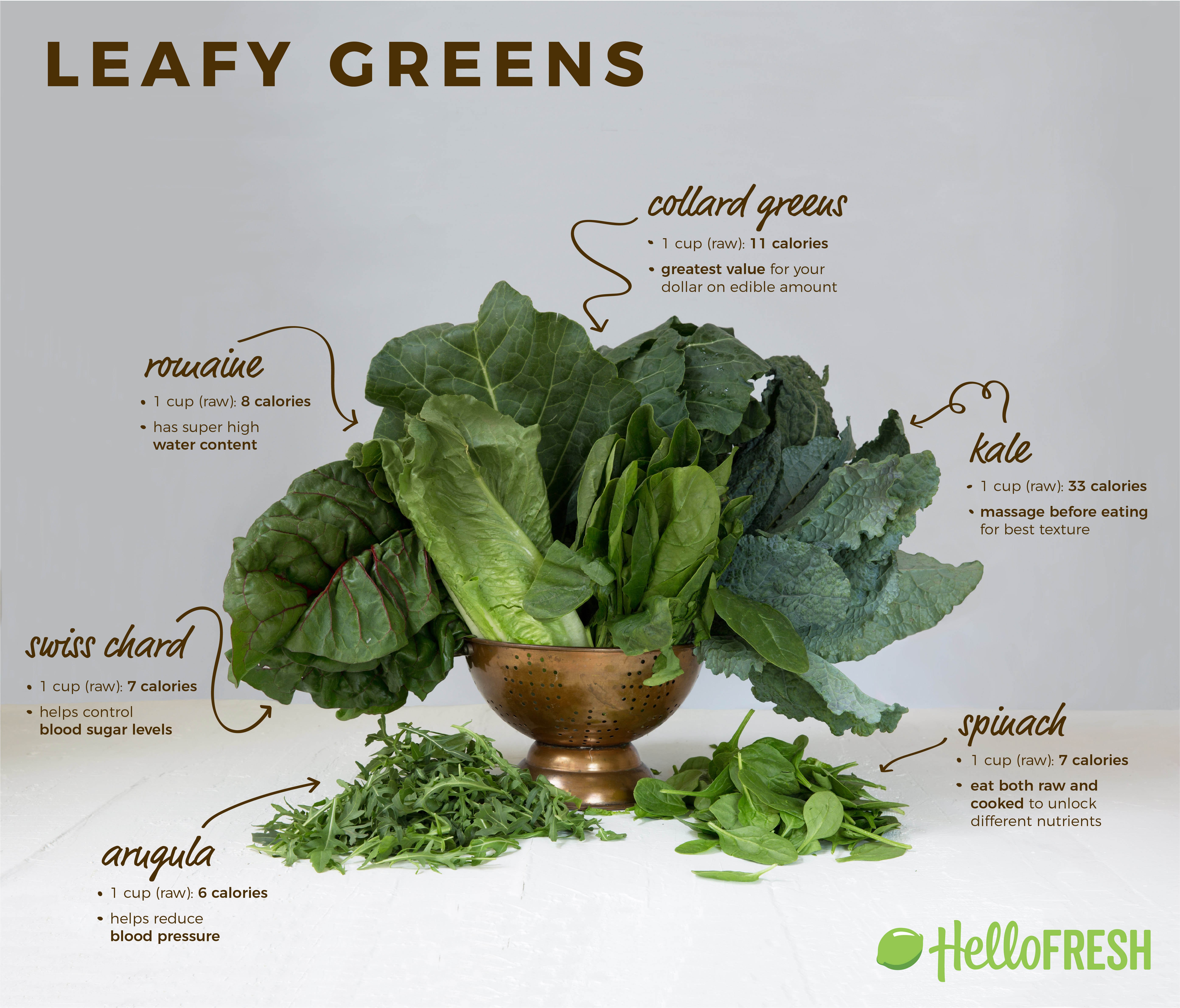 Say Hello to Spring with Leafy Greens | The Fresh Times
