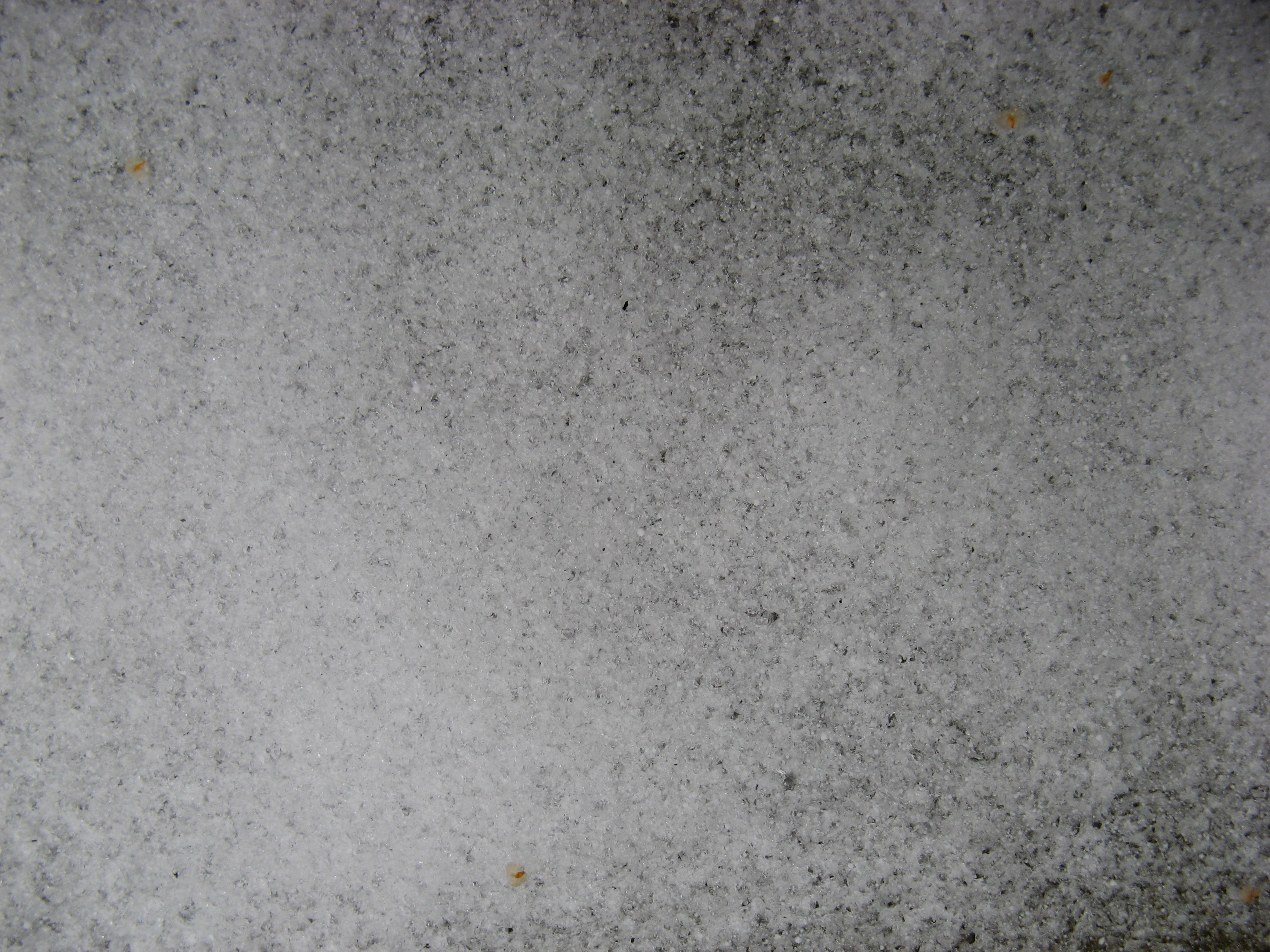 Free Grunge texture (snow, ice, winter)