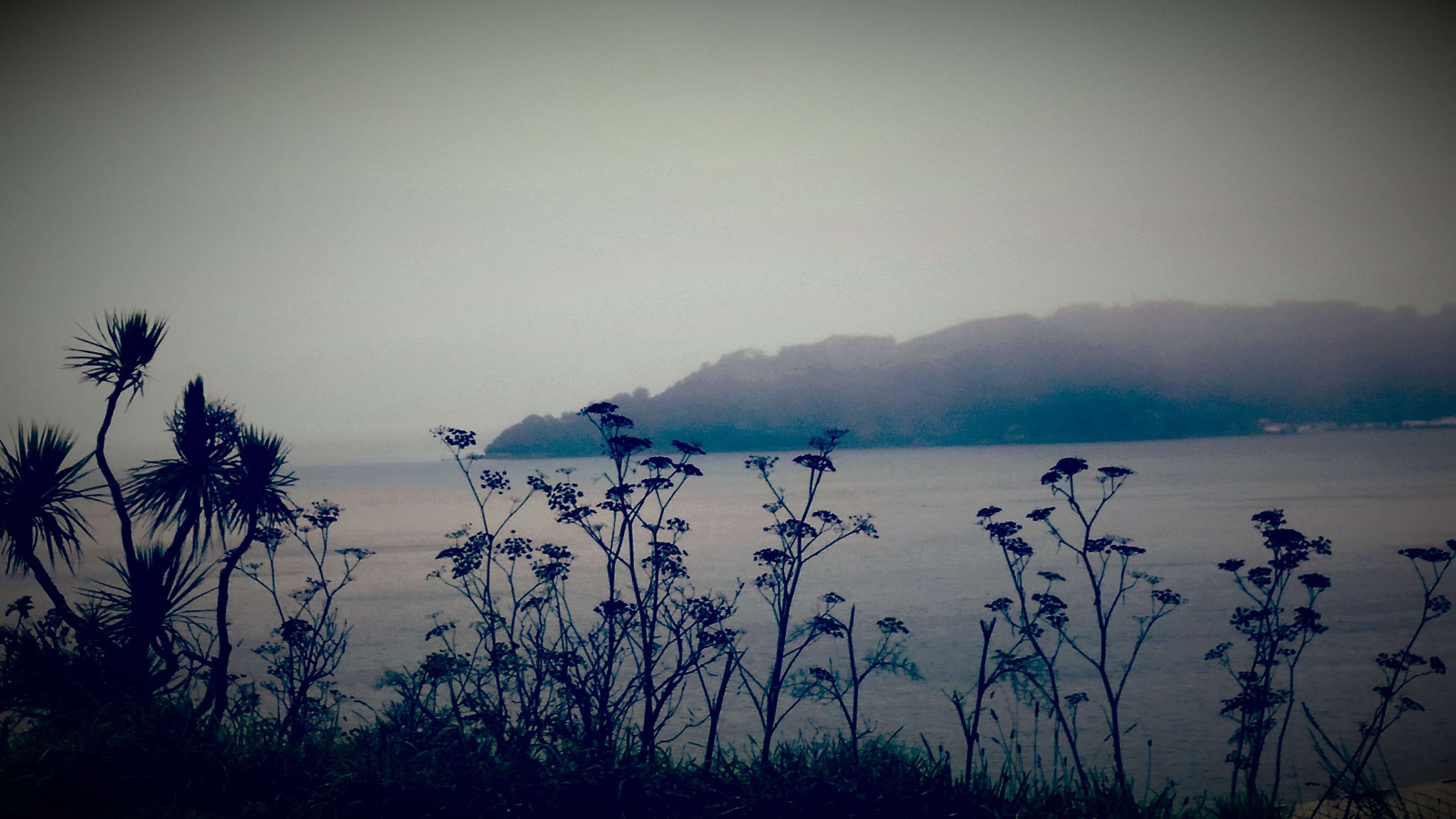black #blue #grey #island #misty #ocean #purple #silhou #trees ...