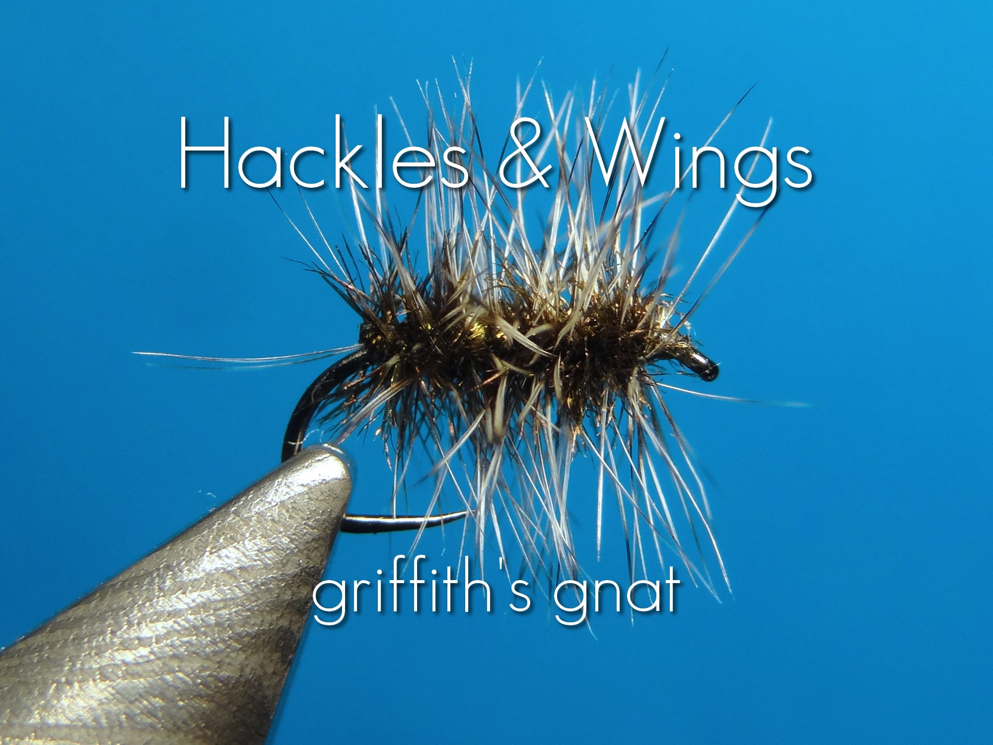 Fly Tying Griffith's Gnat | Hackles & Wings - YouTube