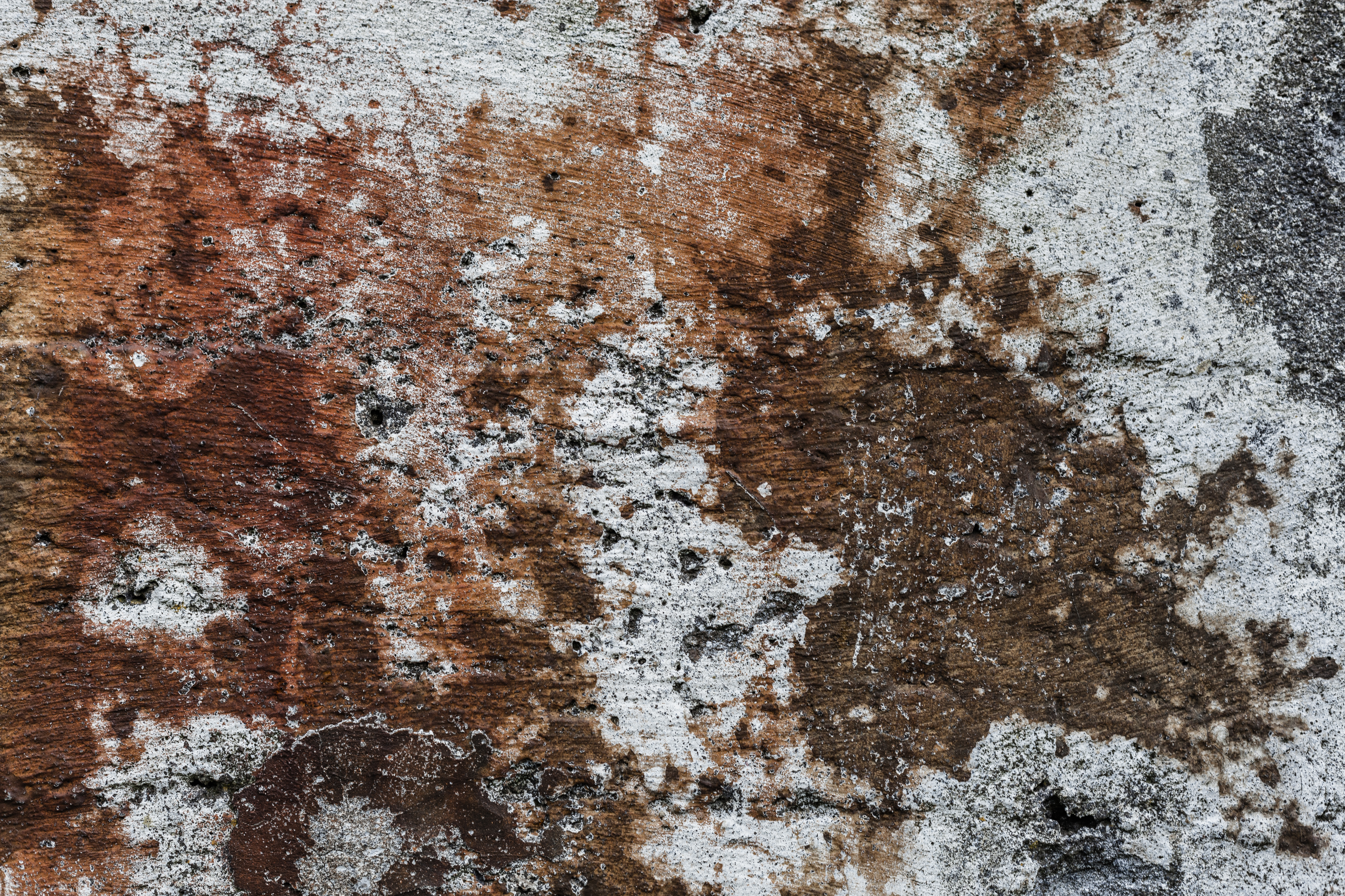 Gritty wall texture photo