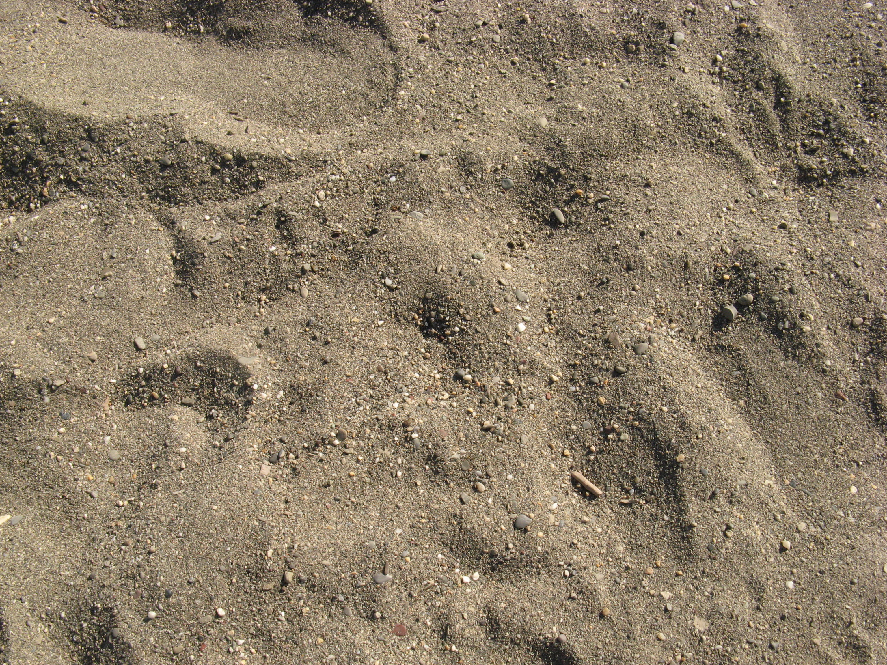 Free Ground texture (sand, coast)