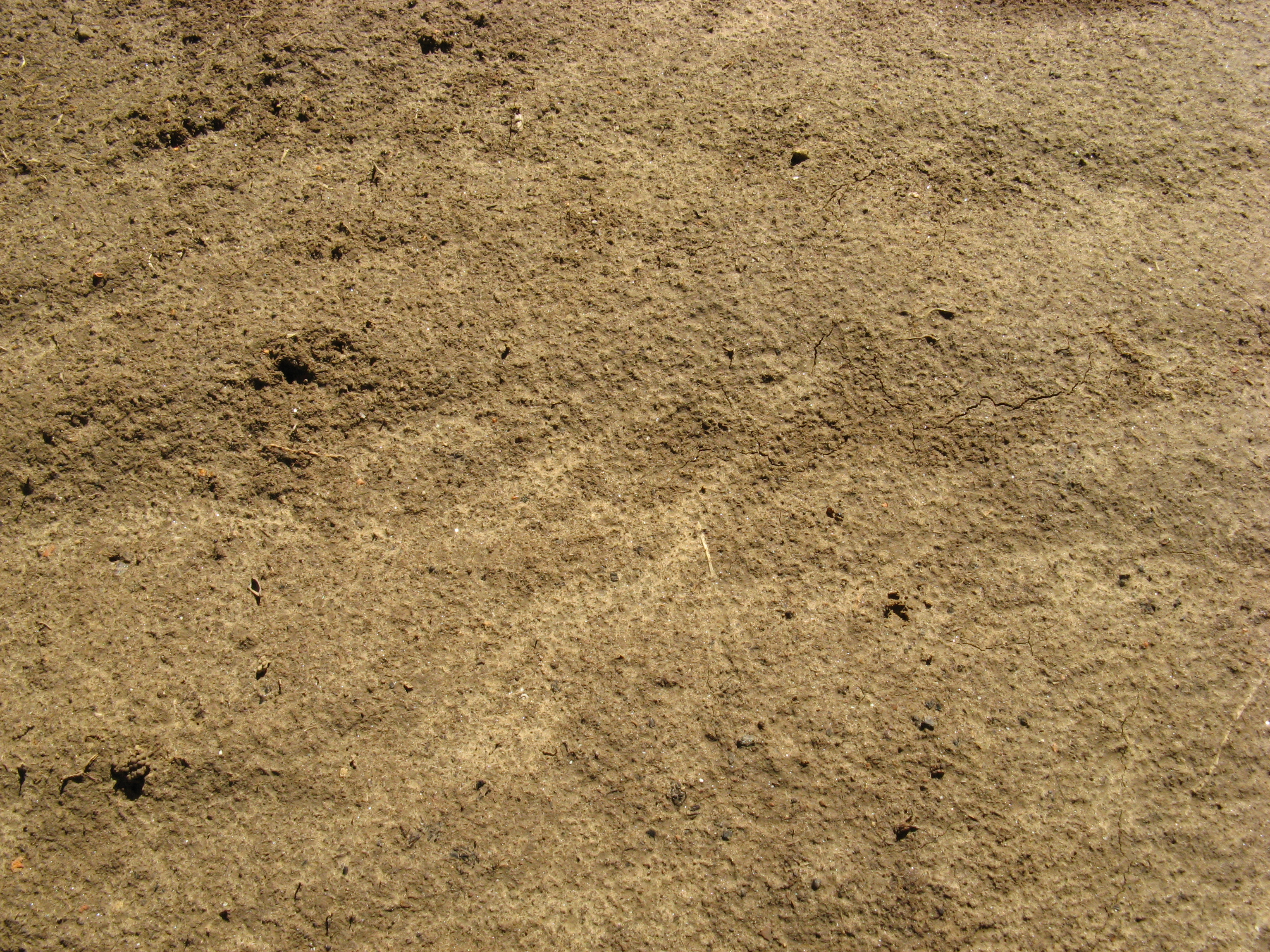 Ground texture photo