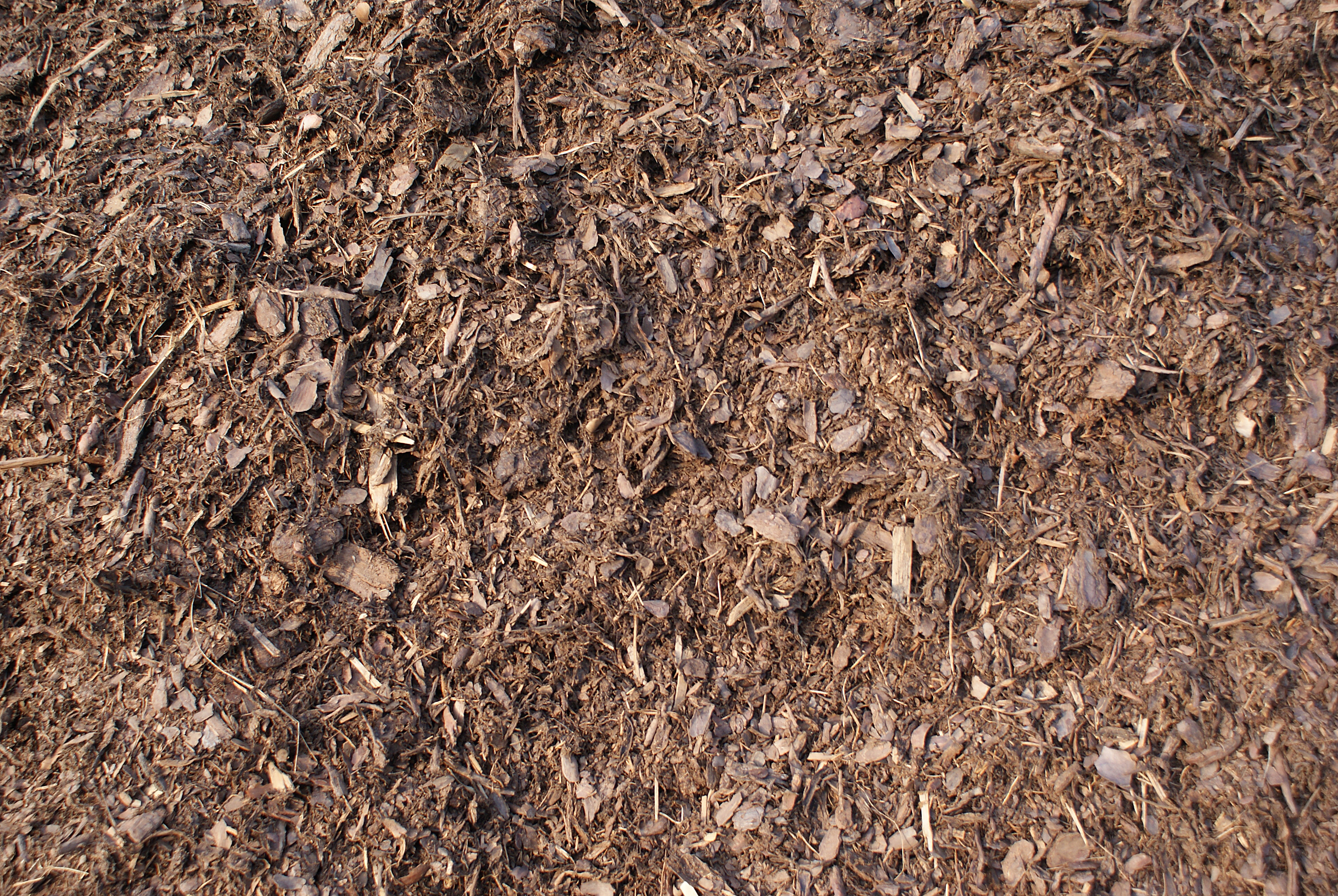 ground bark texture 1 by tailcat on DeviantArt