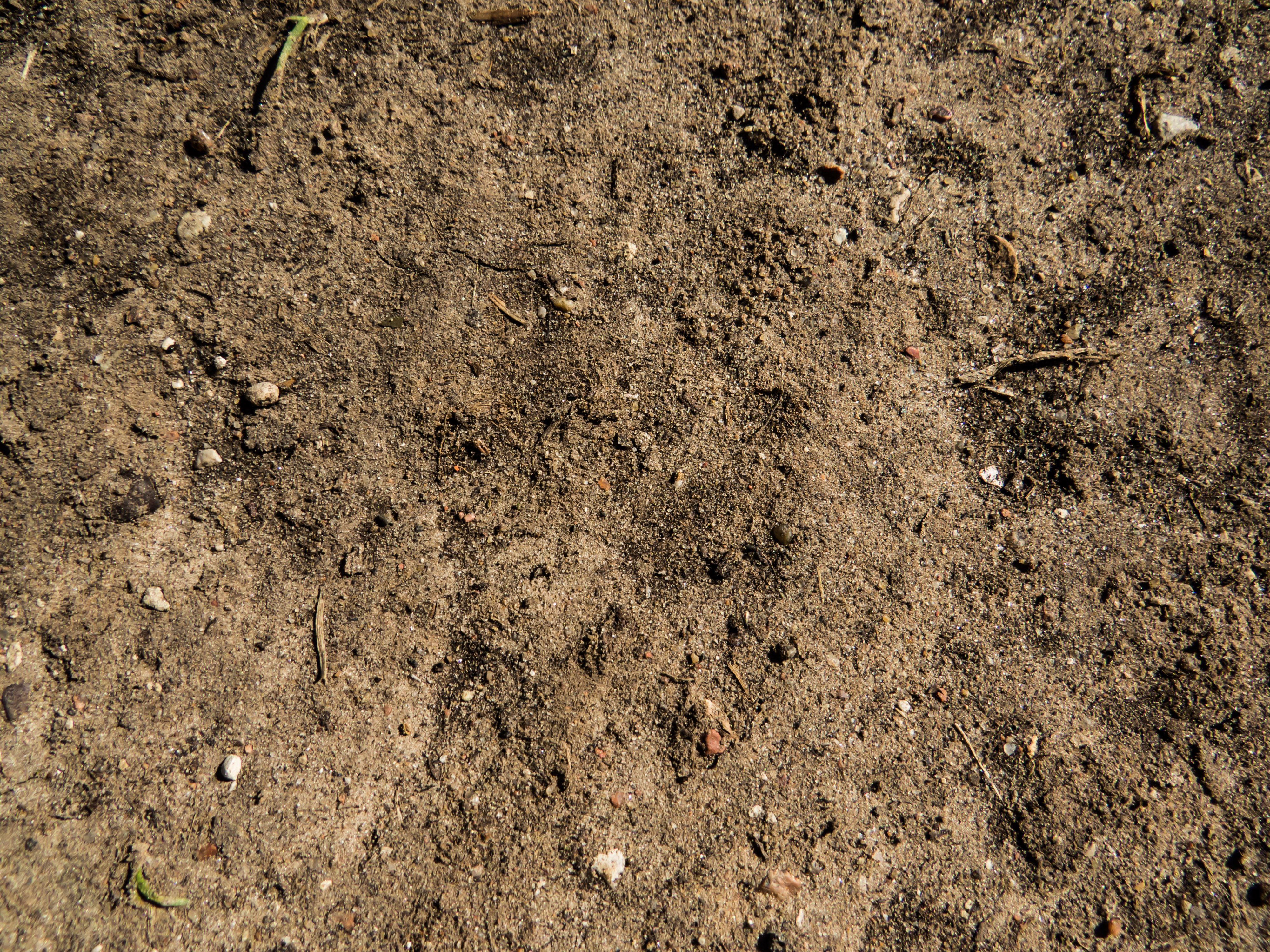 Ground texture, Abstract, Planting, Image, Land, HQ Photo