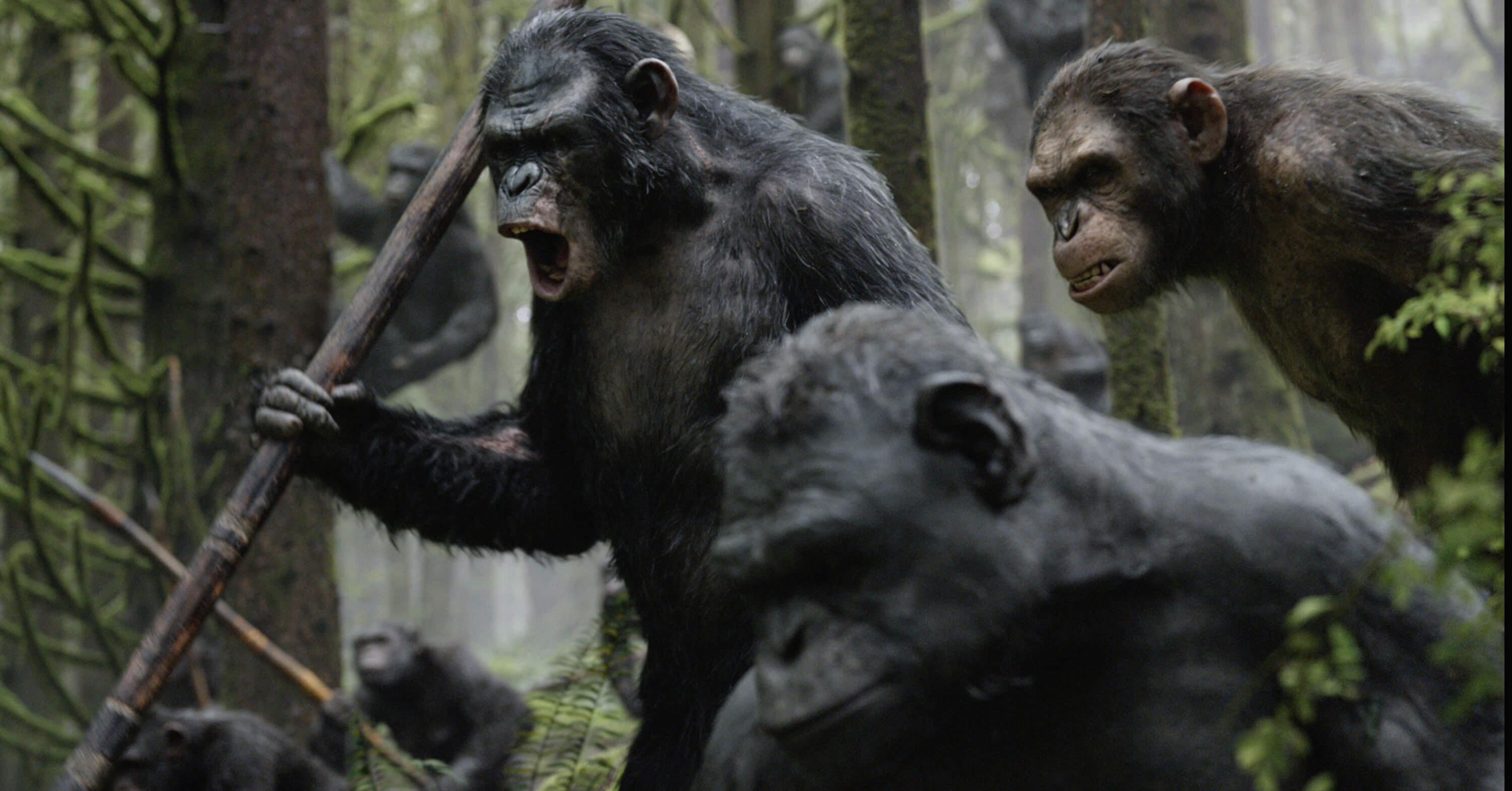 What Went on Behind the Scenes of 'Dawn of the Planet of the Apes ...