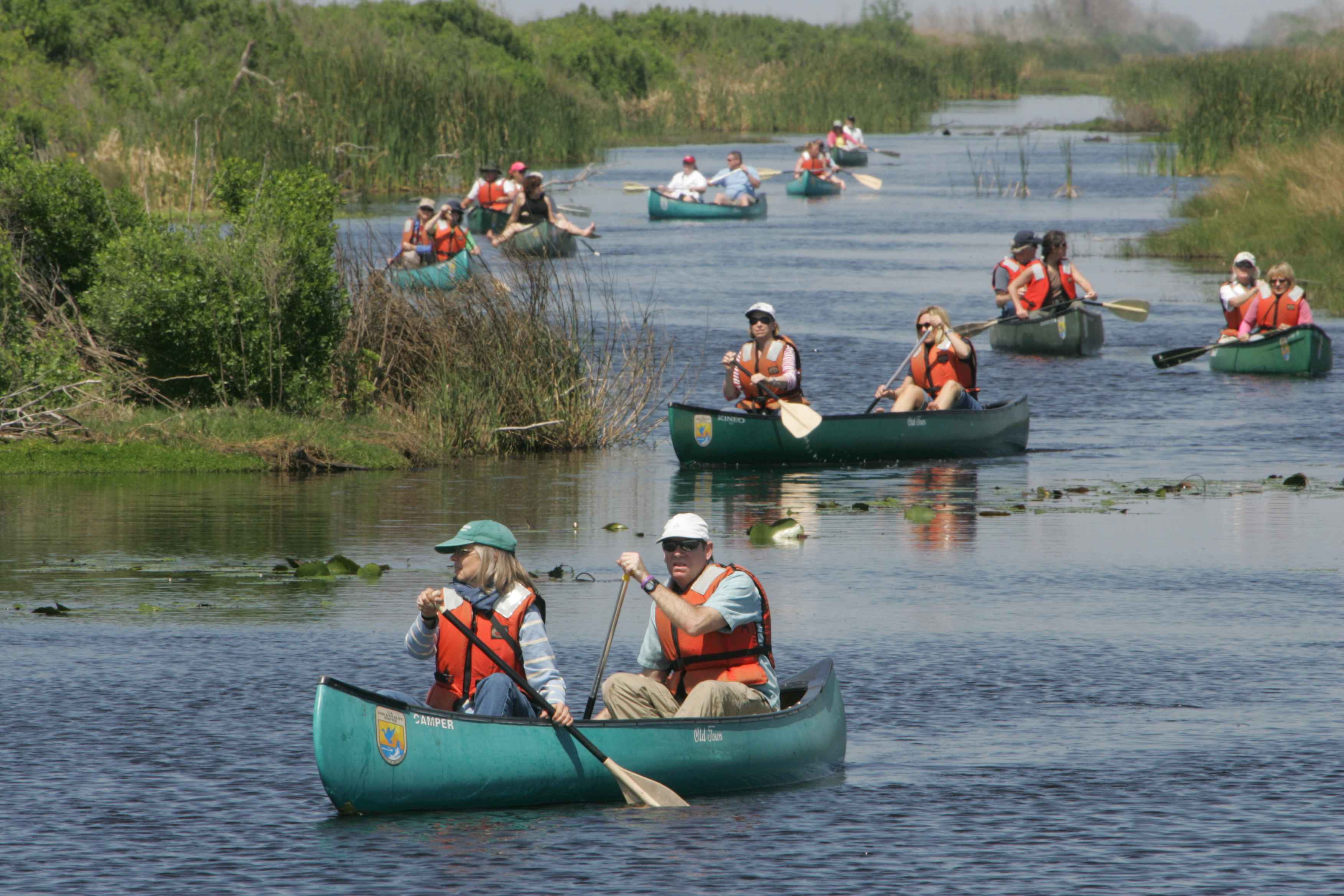 Group of canoes photo