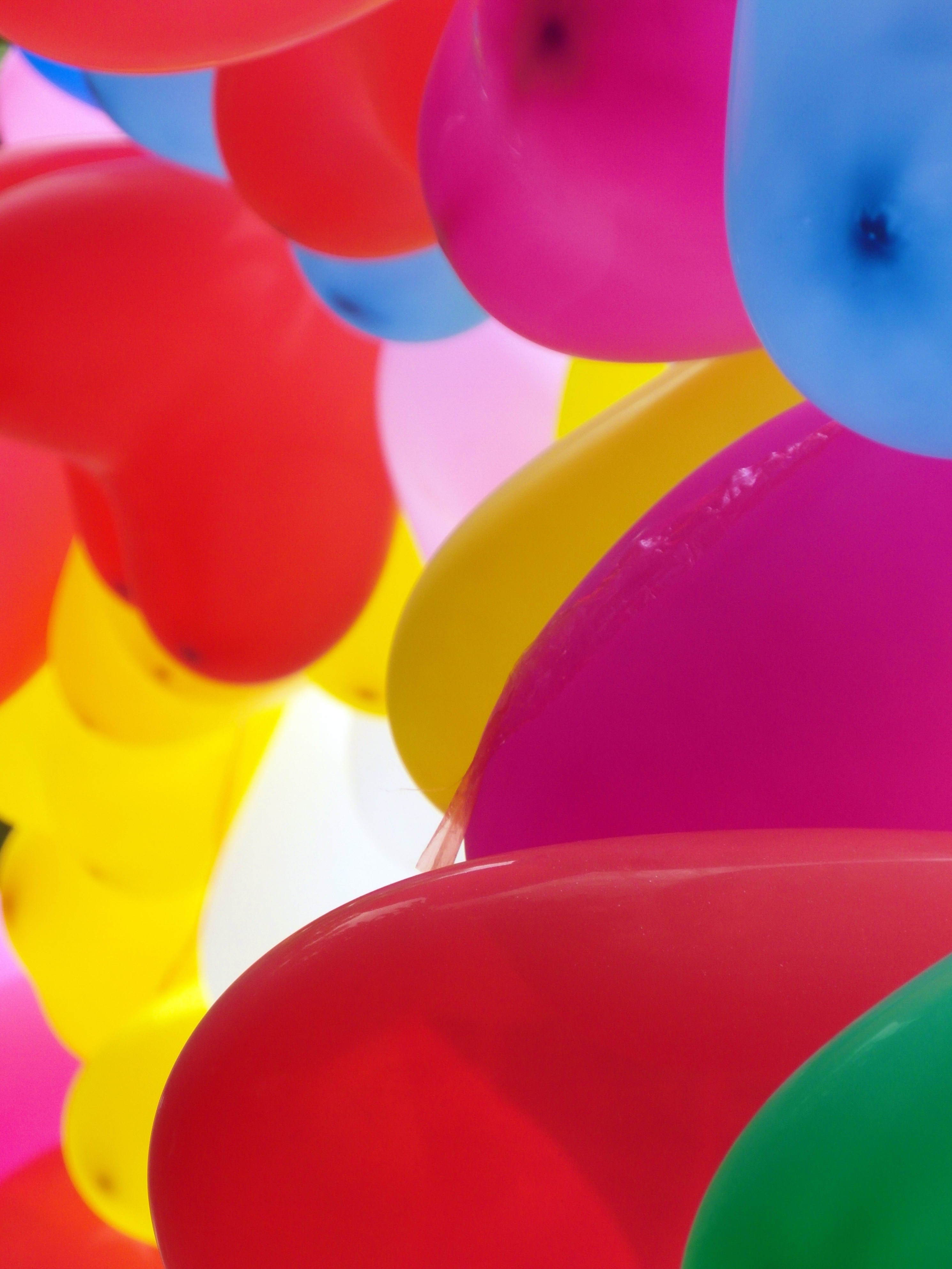 Group of colorful balloons photo