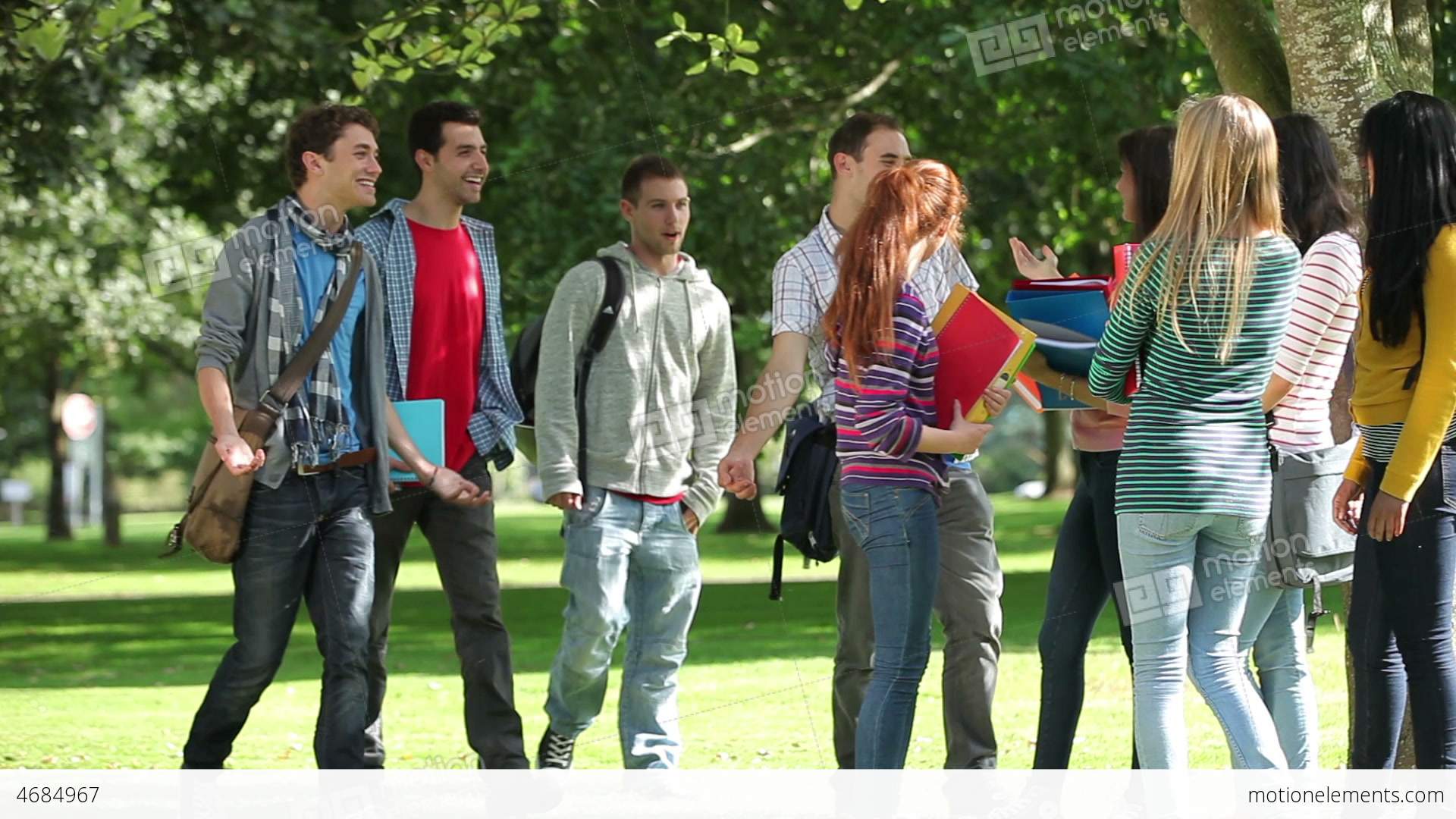 Group Of Happy Students Meeting Up Outside Stock video footage | 4684967
