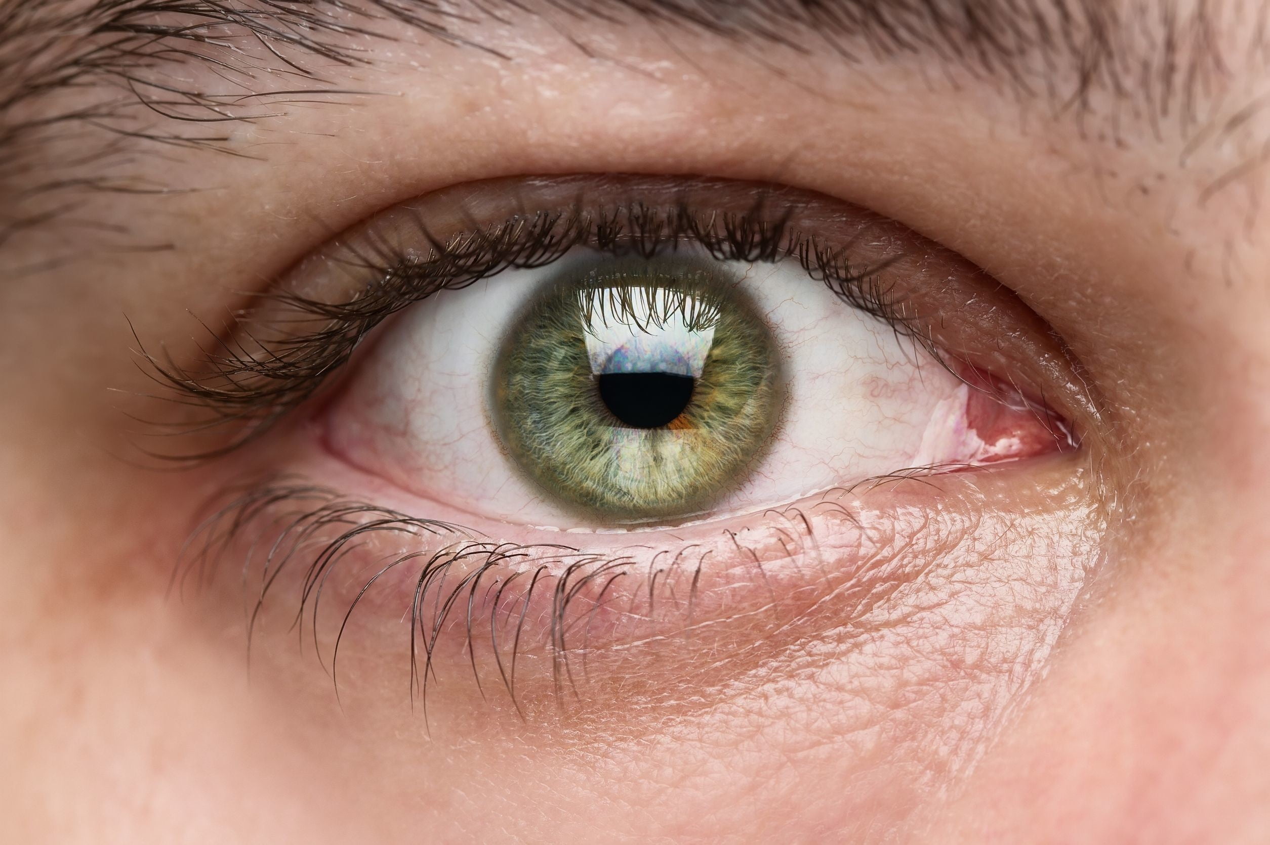 Stem Cells Used To Grow Eyeballs | Digital Trends