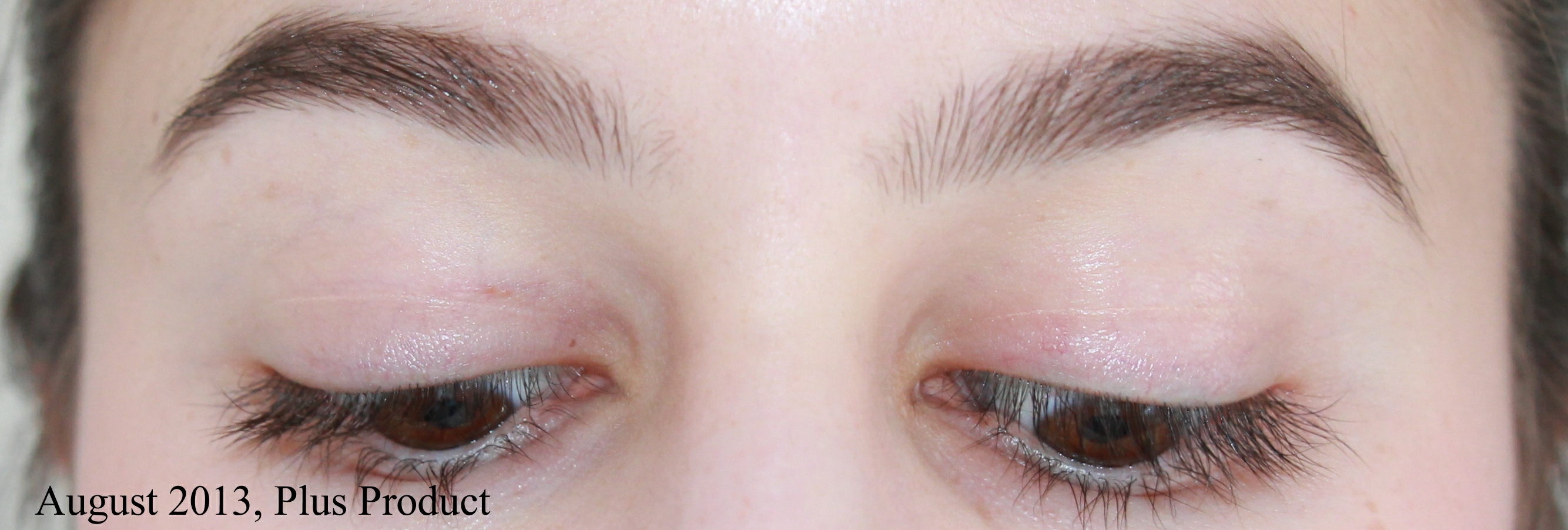 Growing out the Brows: Picture Timeline and Tips Blog - Shameless ...