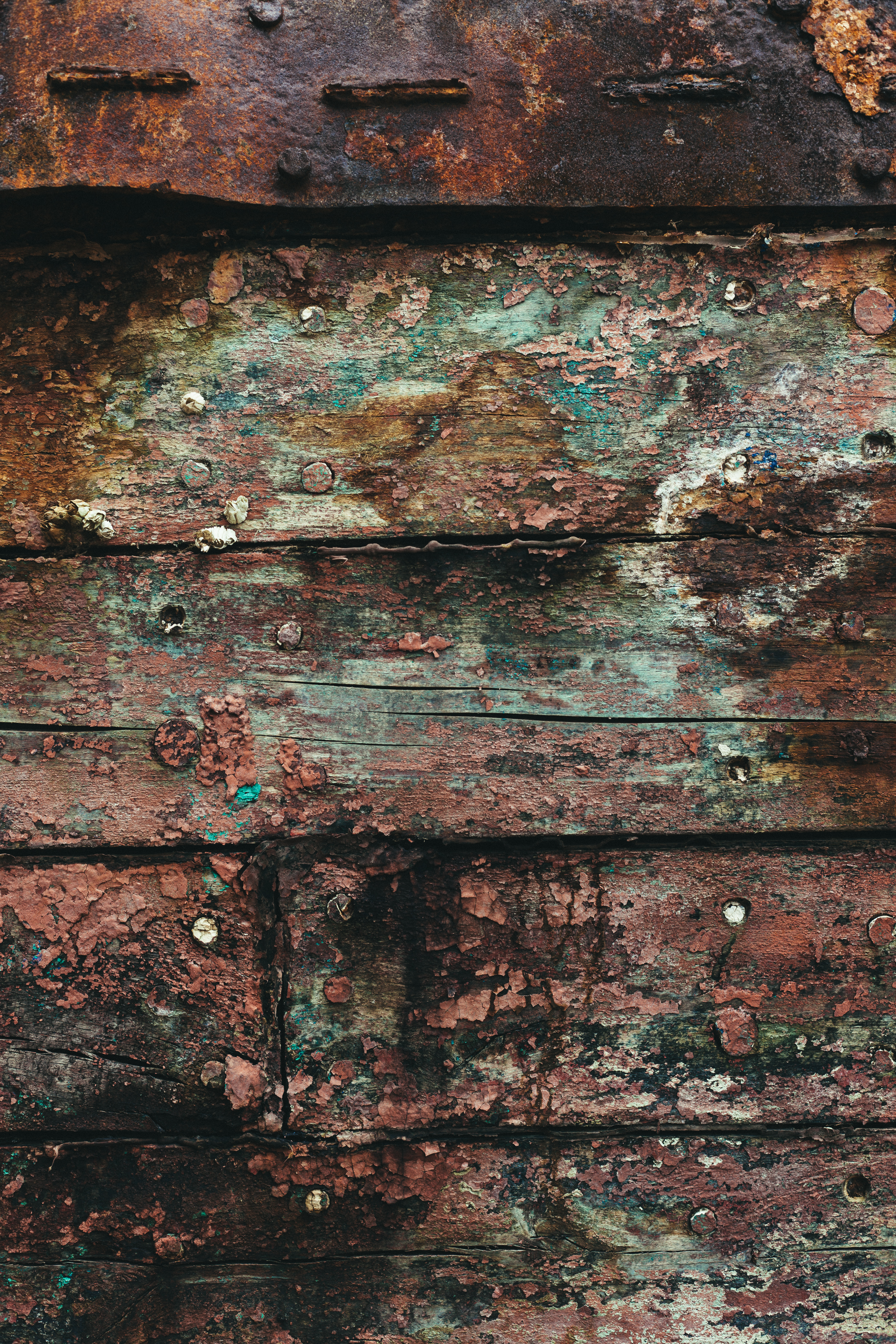 Grunge and gritty wood texture photo